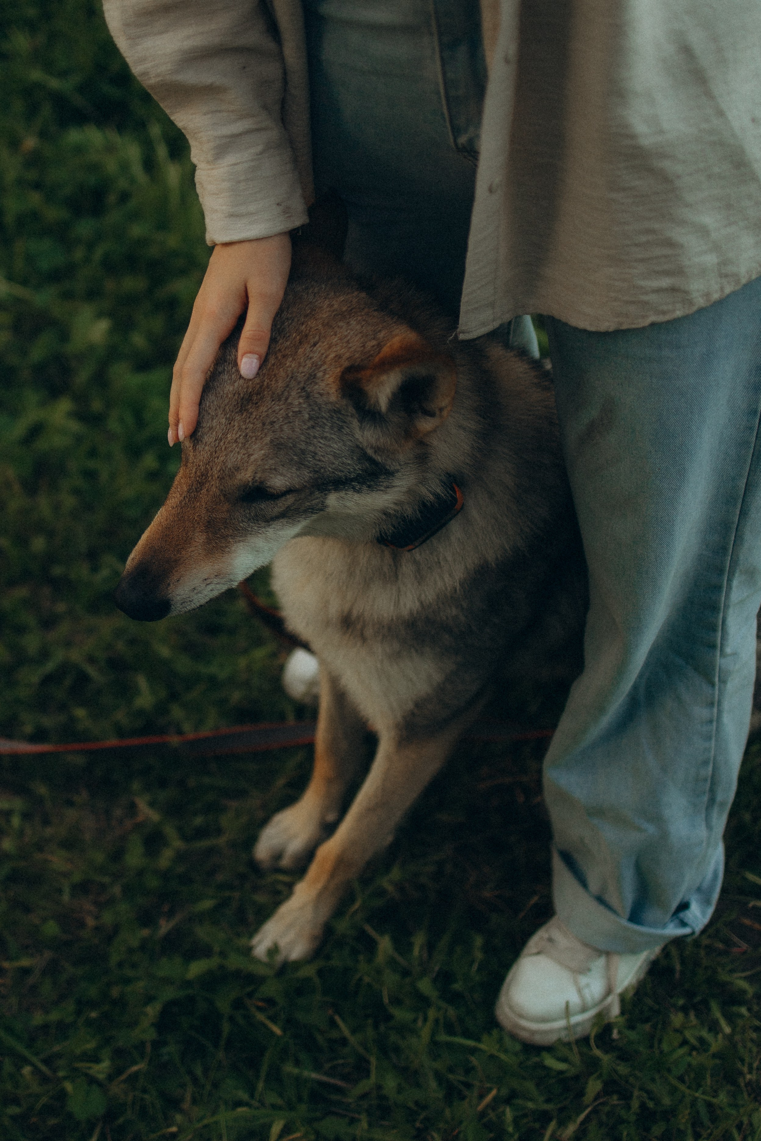 Аня и ее семья. Фотораф — анималист Мария Шистка