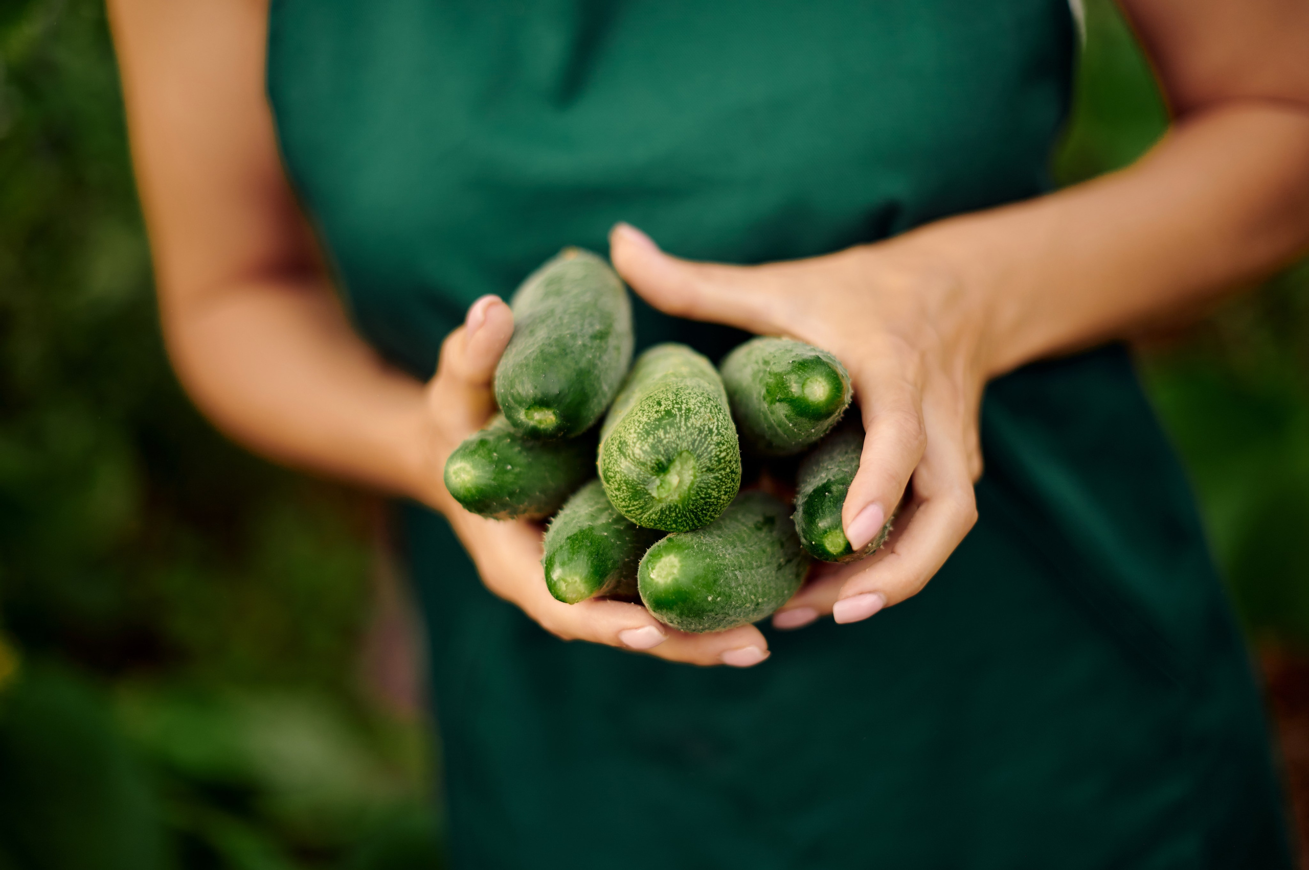 ОГУРЦЫ, ТЕПЛИЦА, САД :). Свадебный и семейный фотограф РИТА БОЧКАРЁВА