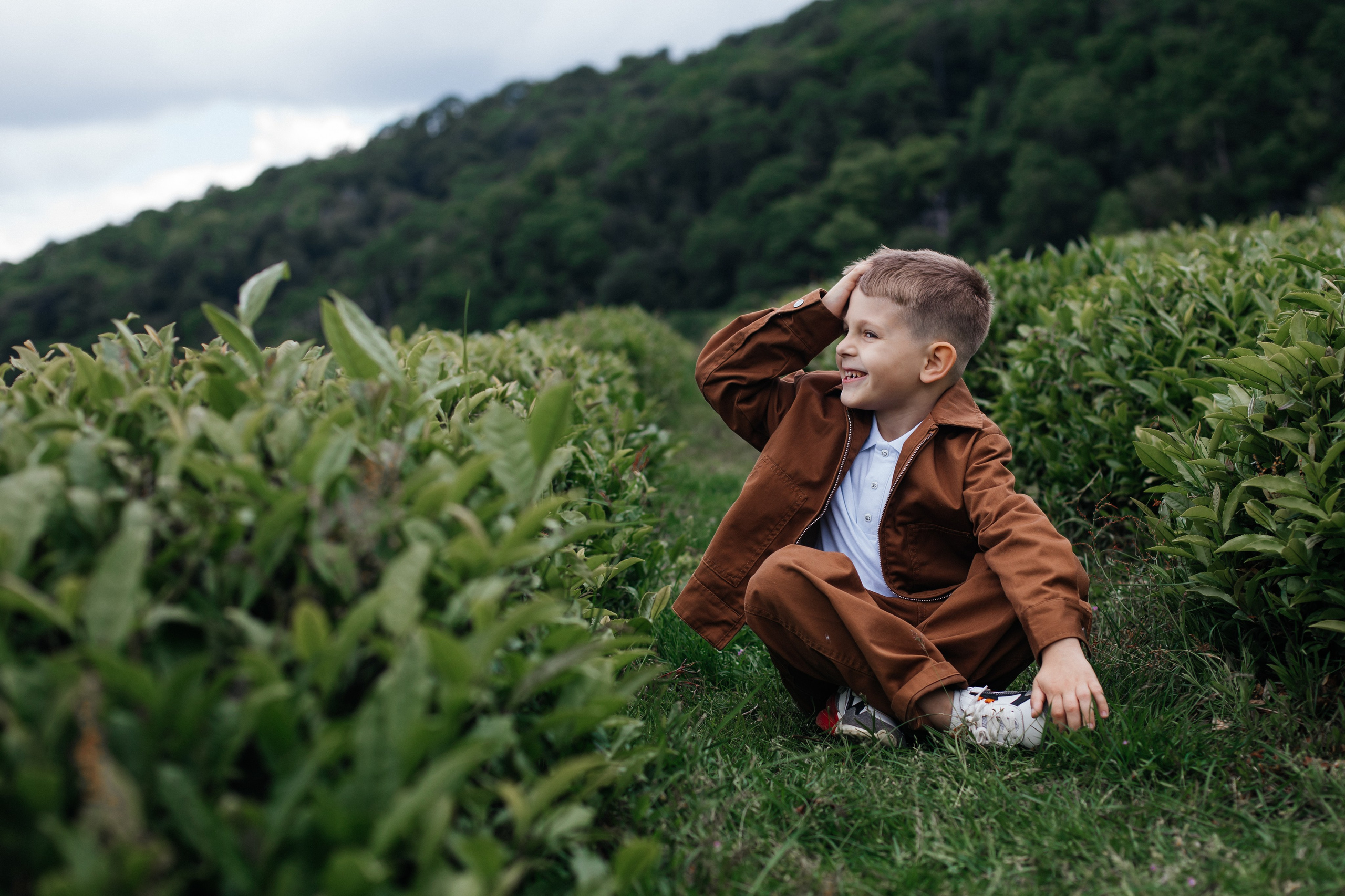 Tea plantation. Efimova Model Agency