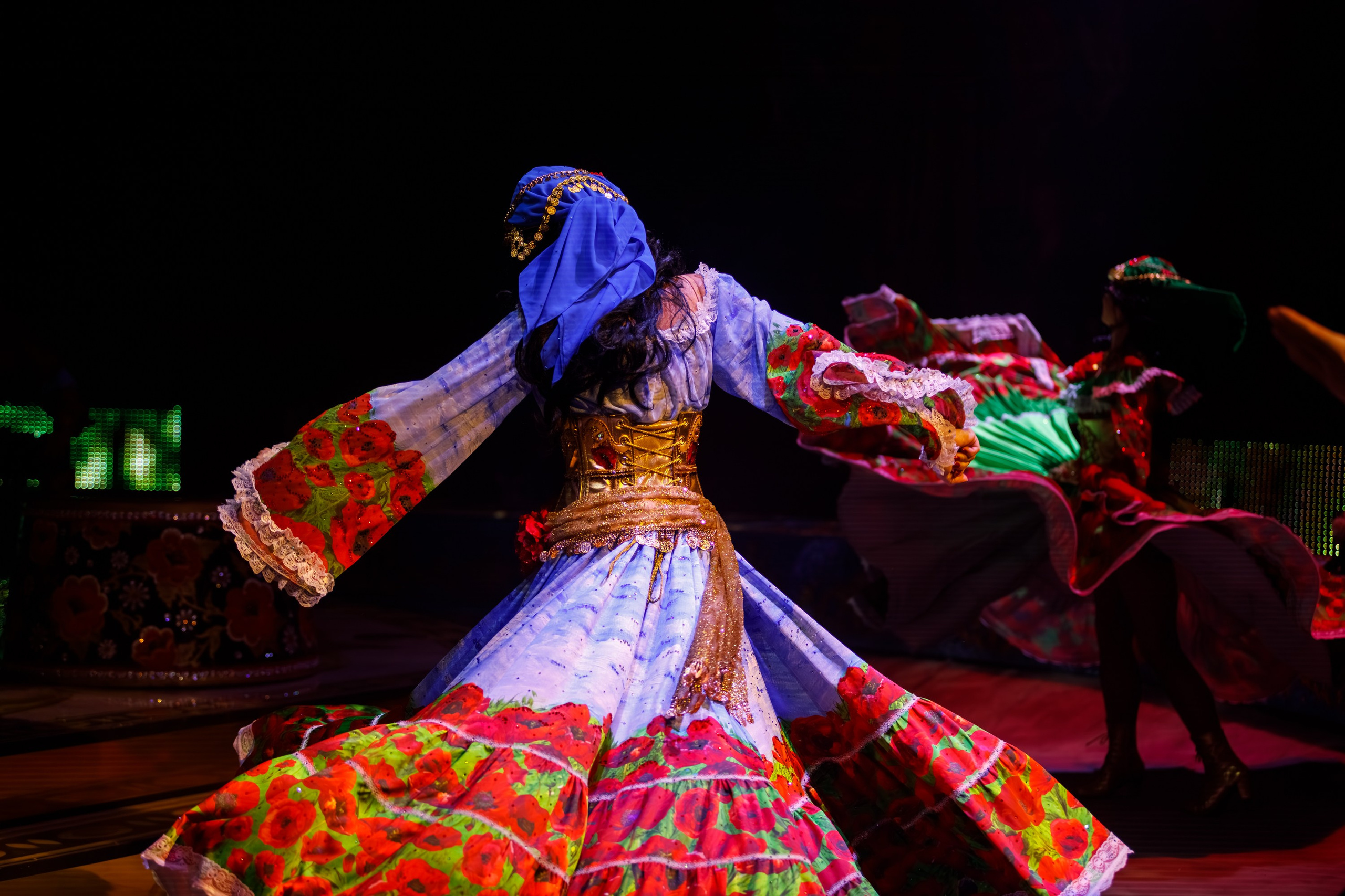 Сочинский росгорцирк Шоу Гии Эрадзе цирк. Профессиональный фотограф в Сочи Виктория Джой. Обучение