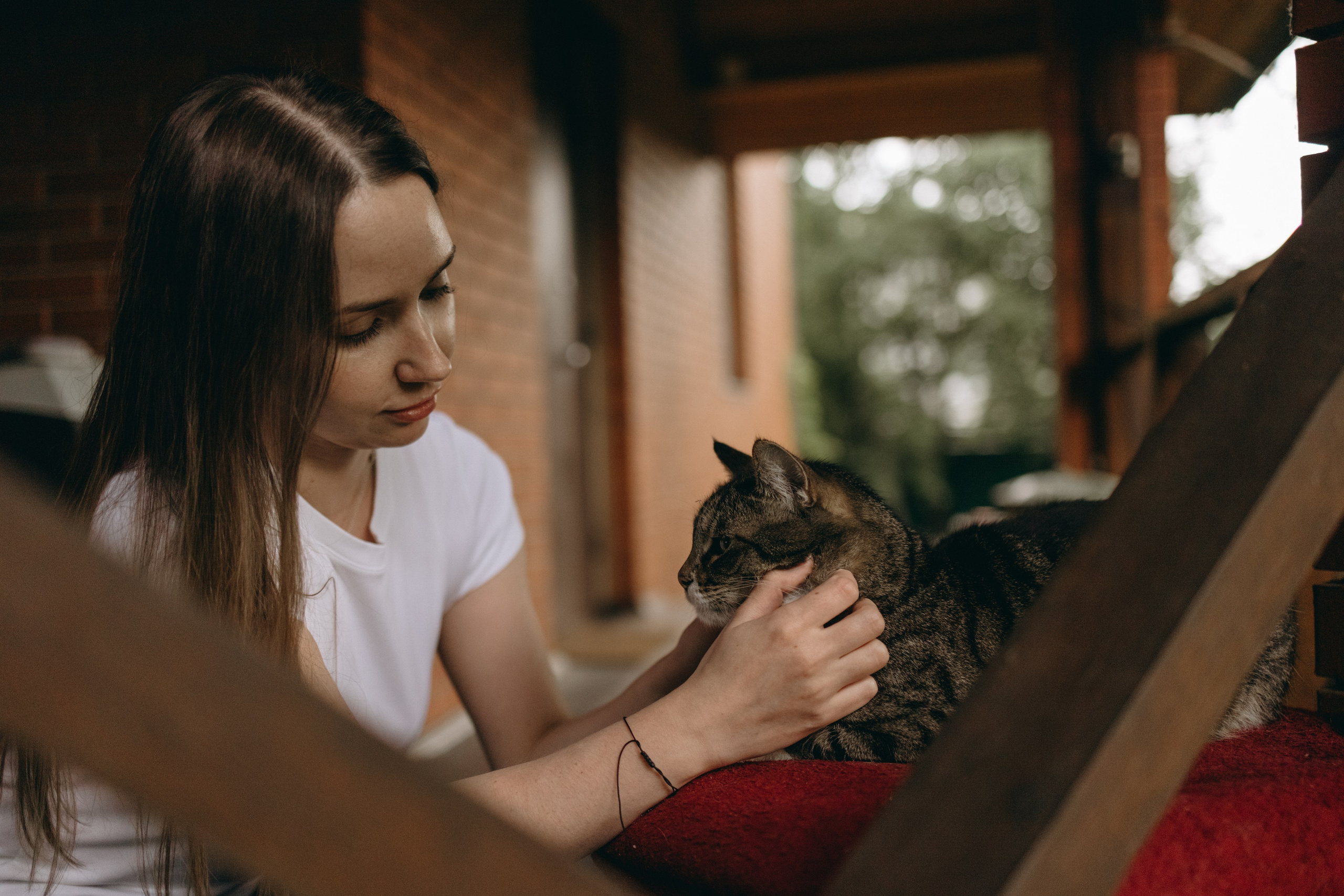 Софа и ее хвостики. Фотограф — Анималист | Санкт-Петербург