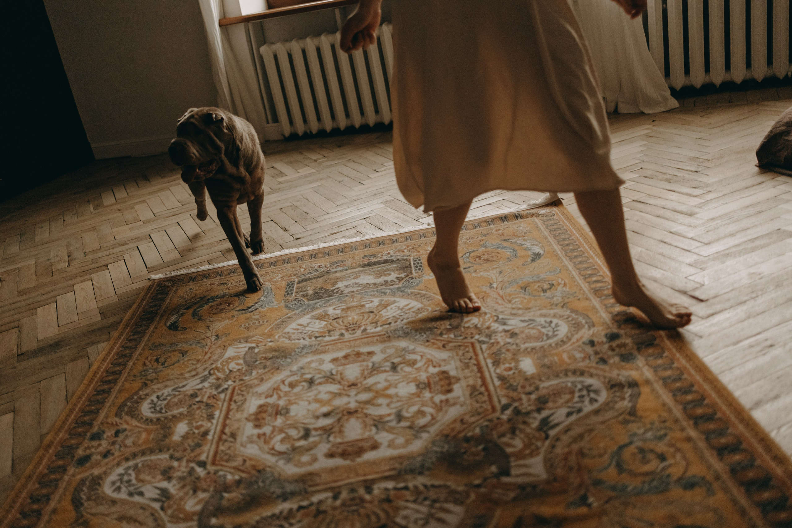 Ульяна и Вагнер. Фотограф — Анималист | Санкт-Петербург