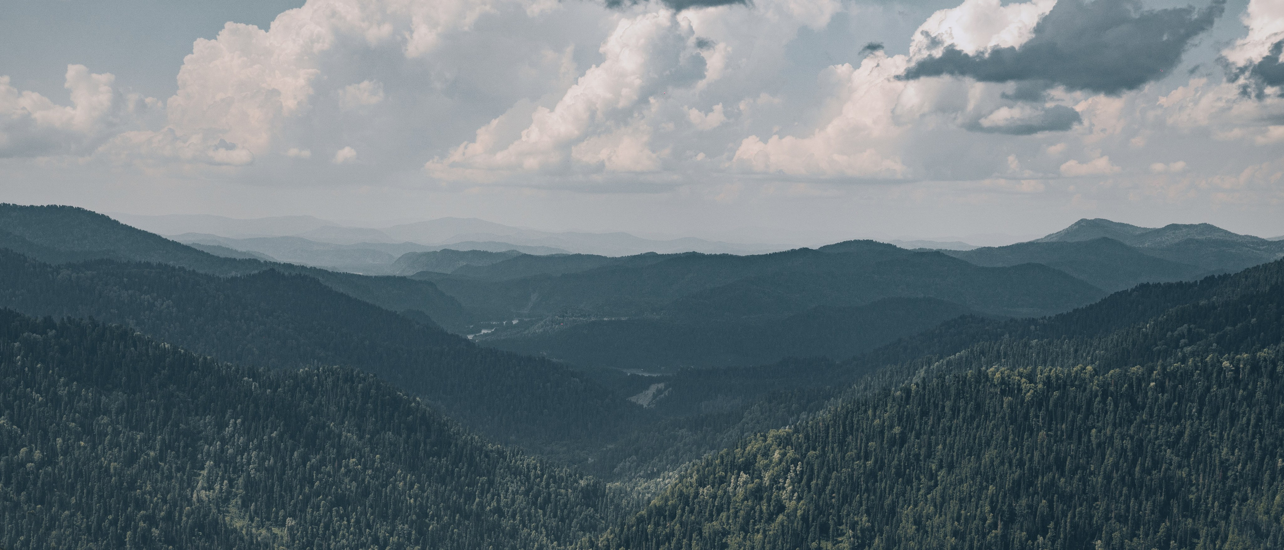 Алтай. Gusarov Travel Photography