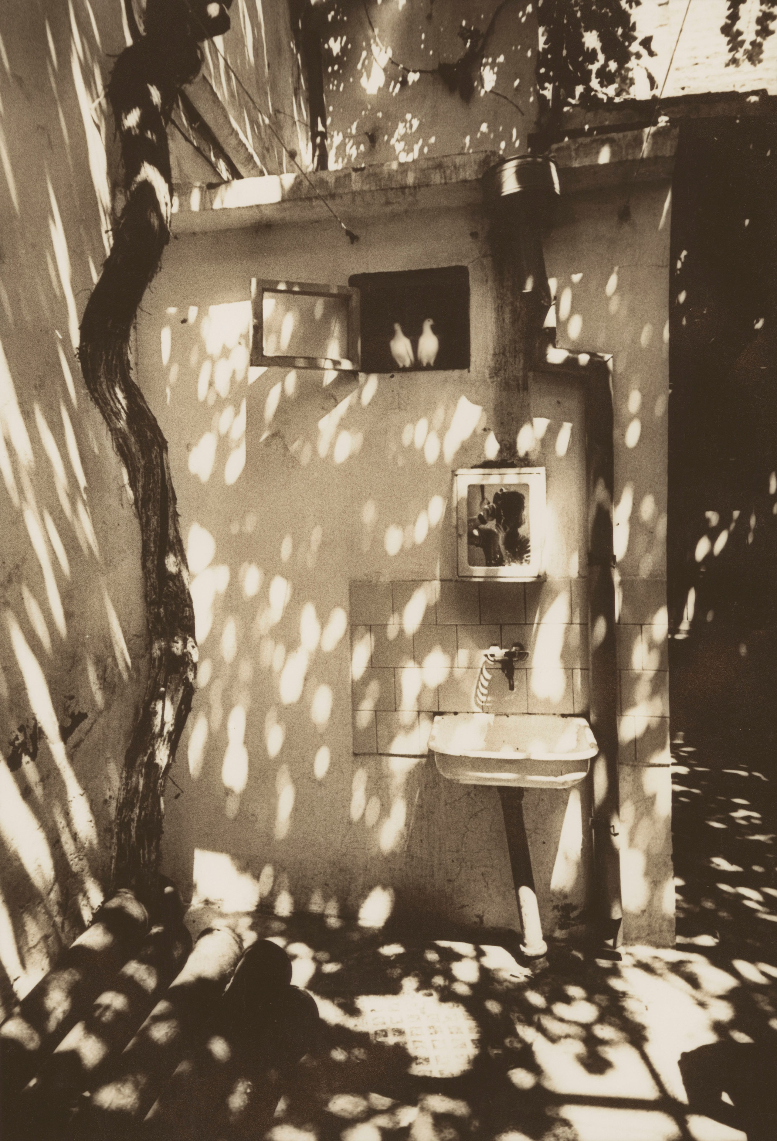 Sepia. Gueorgui Pinkhassov
