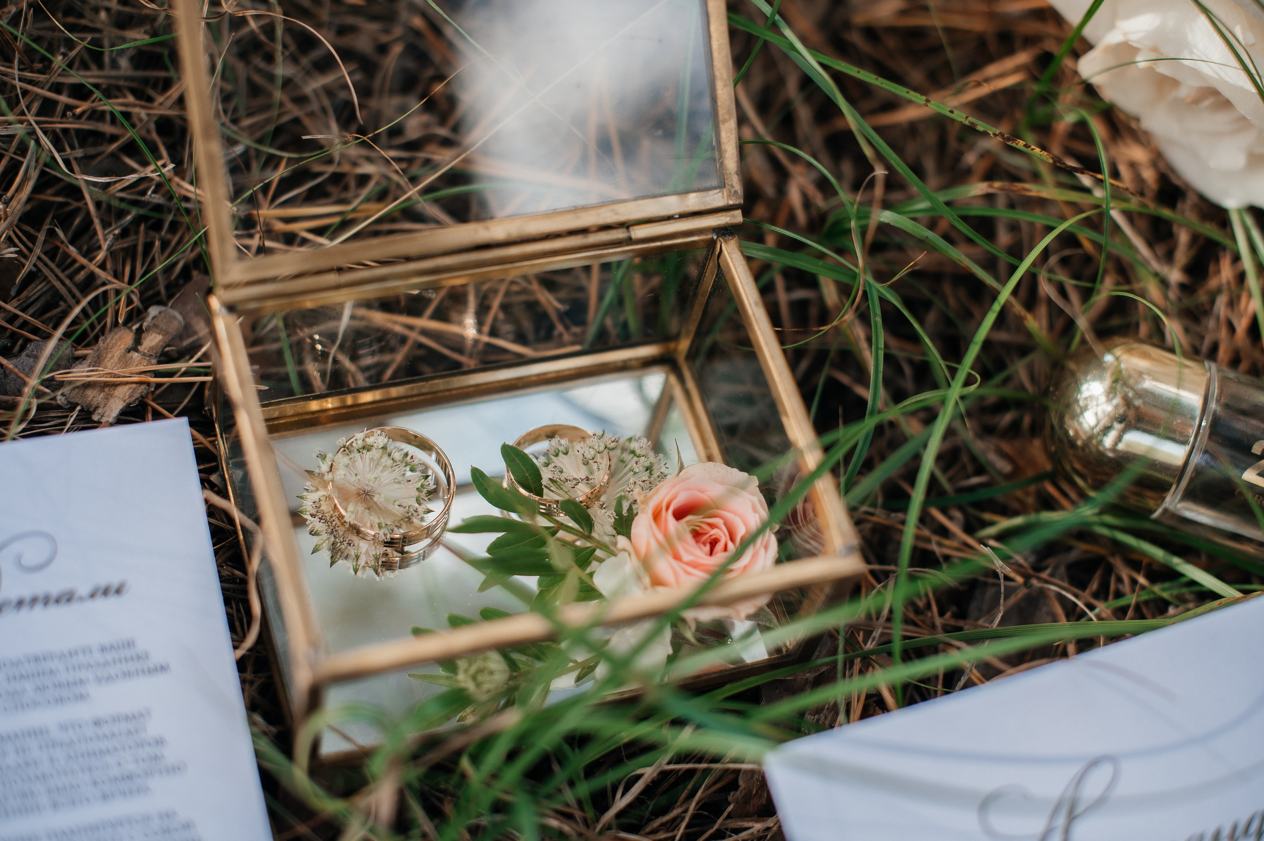 Роман и Александра. Фотограф Виктория Воронина