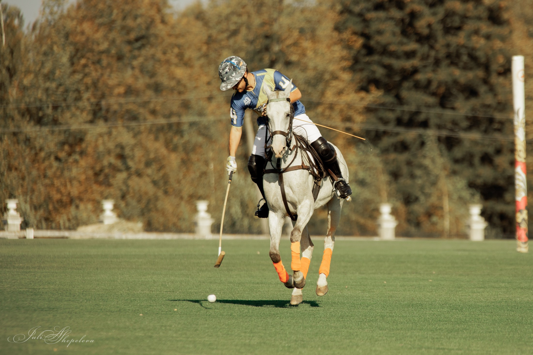 Осенний кубок по конному поло. Детская Конная фотография в Москве Юлия Шепелева