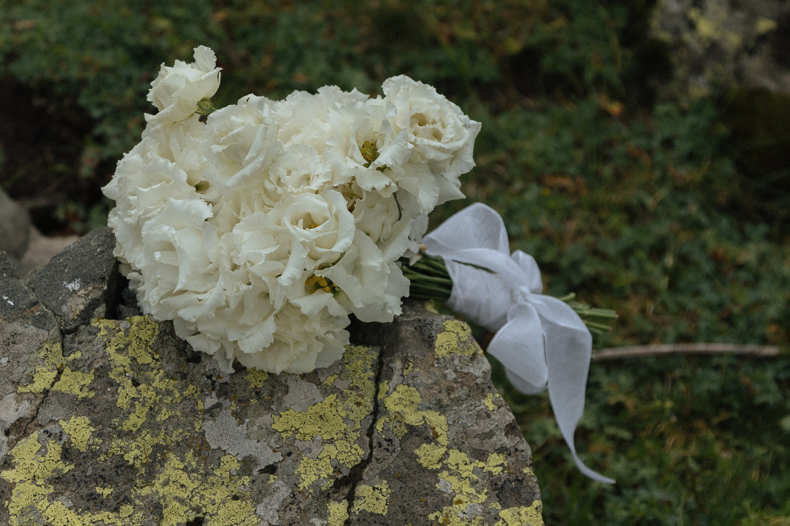 Свадебная Фотосессия в горах Сочи Красной поляны. Фотограф Сочи Адлер Сириус Красная поляна Олеся Минив