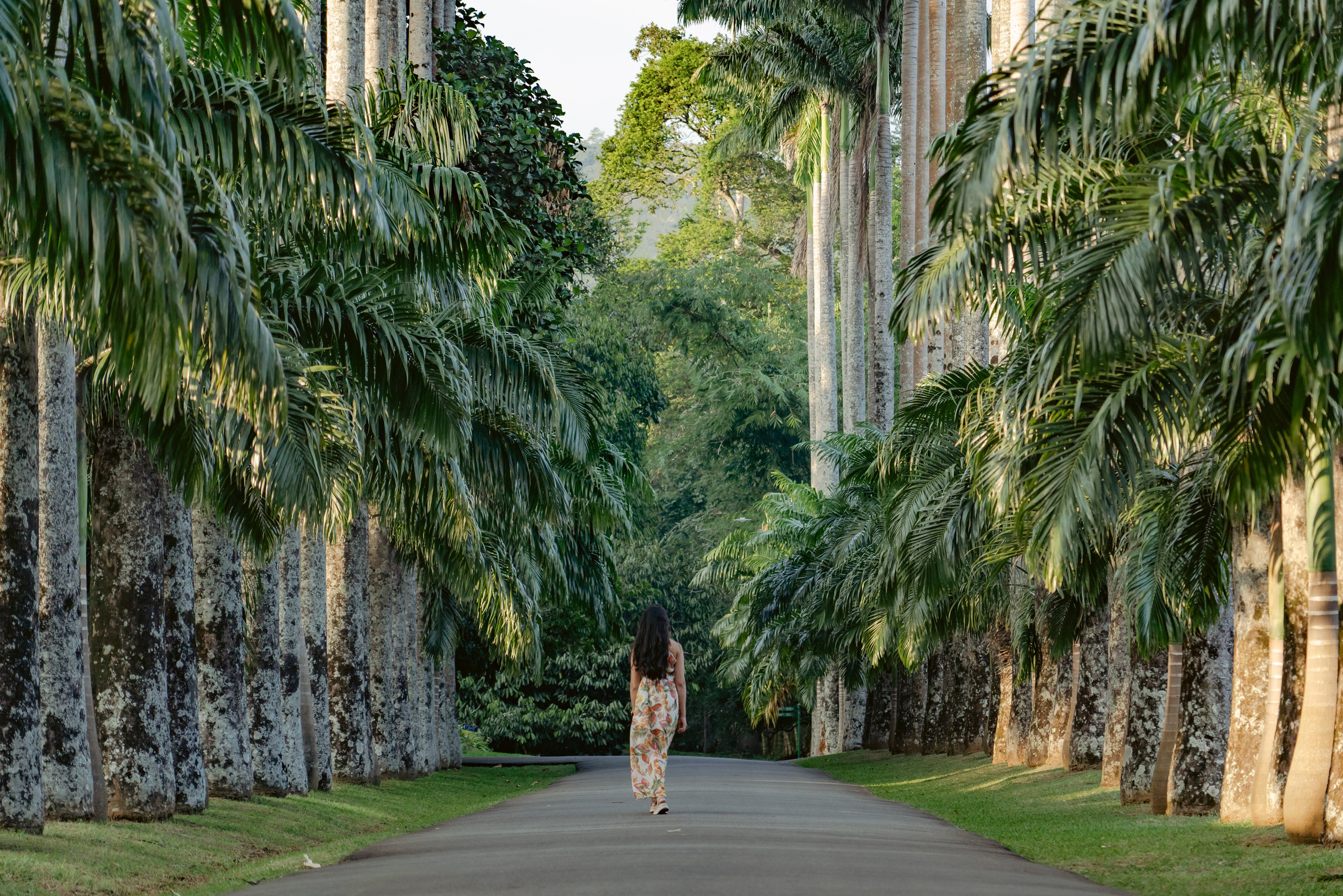 Promo content shooting for Ceylon Forward Tours