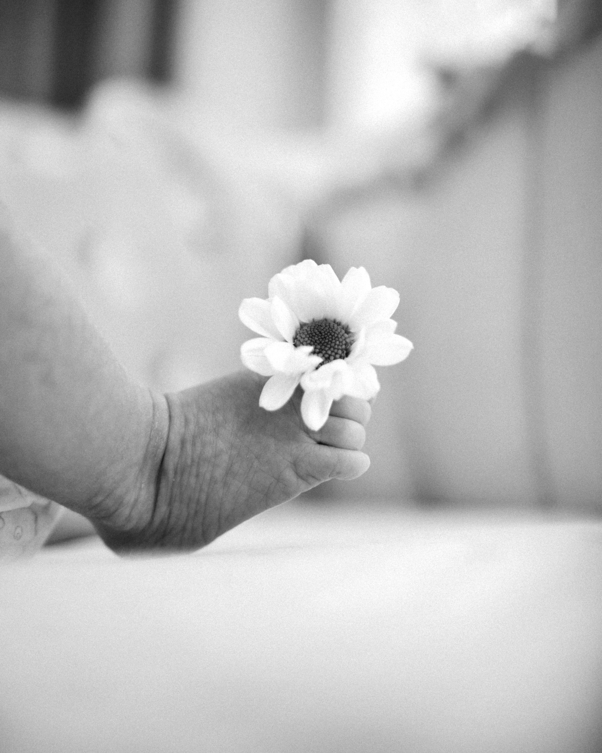 Сашенька. SHILOVA PHOTO. Шилова Екатерина. Фотограф. Москва