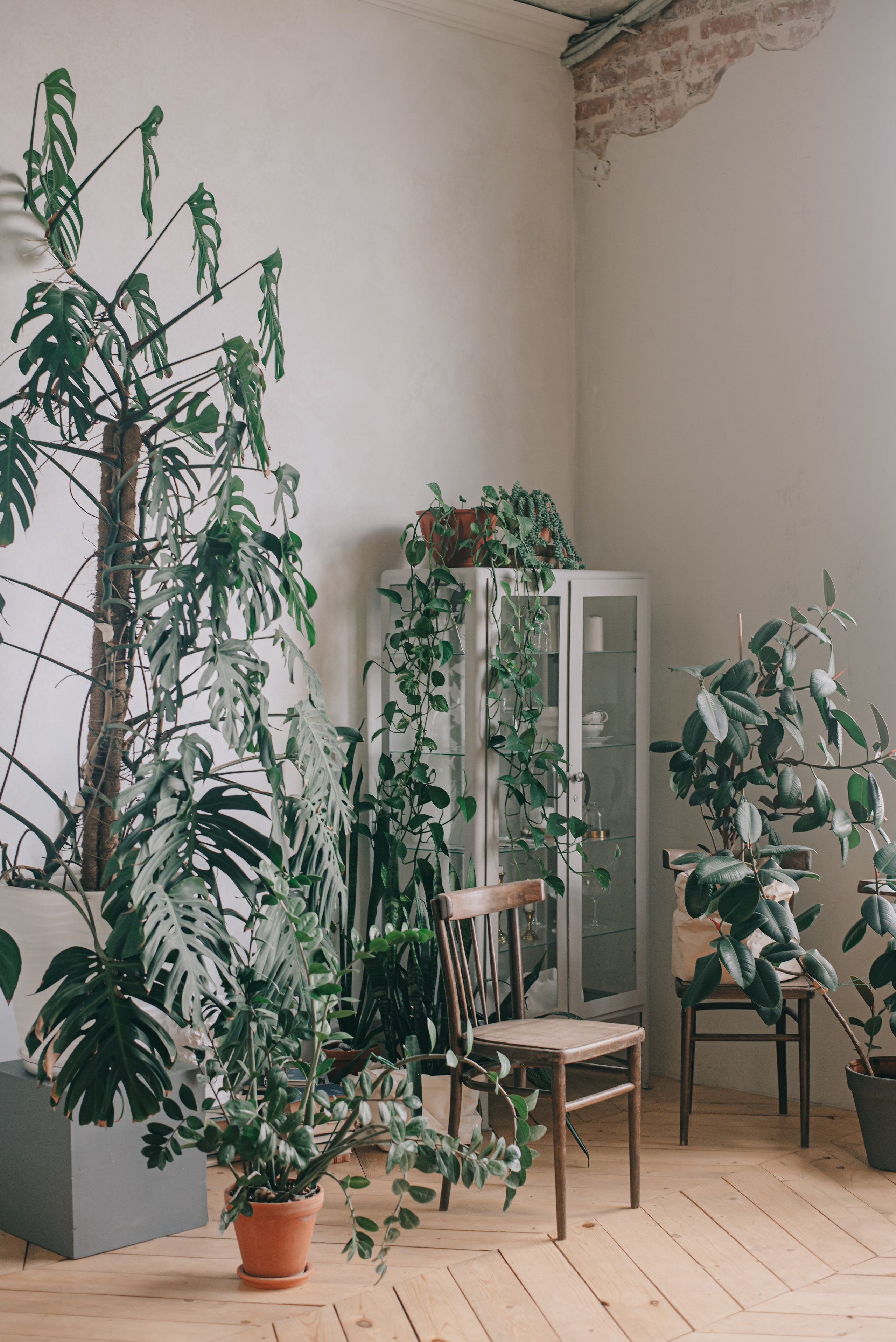 Bellissimo matrimonio. Фотограф в Краснодаре Зеленкина Дарья