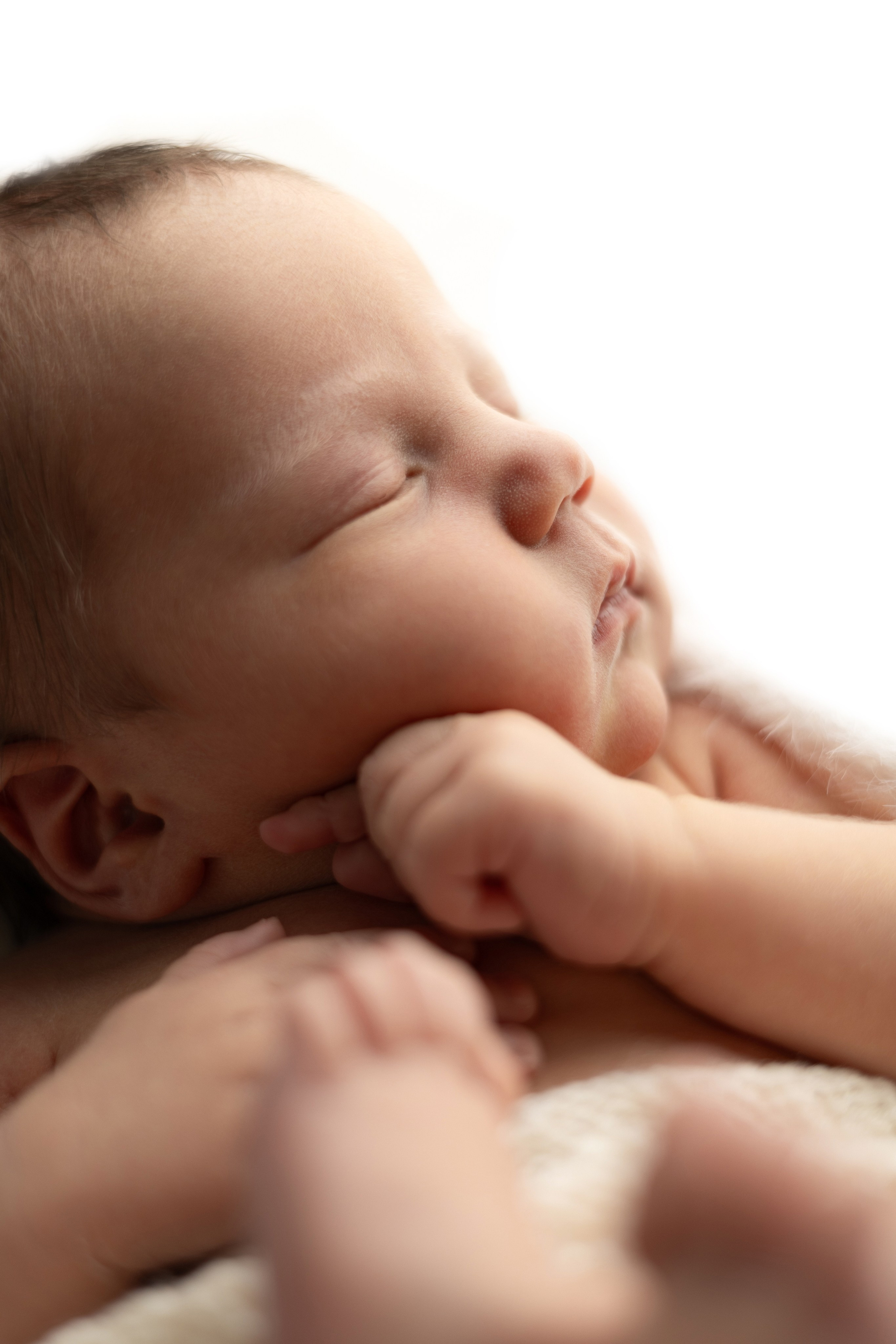 Лев. Лилия Алтухова — фотограф новорожденных в Москве и области