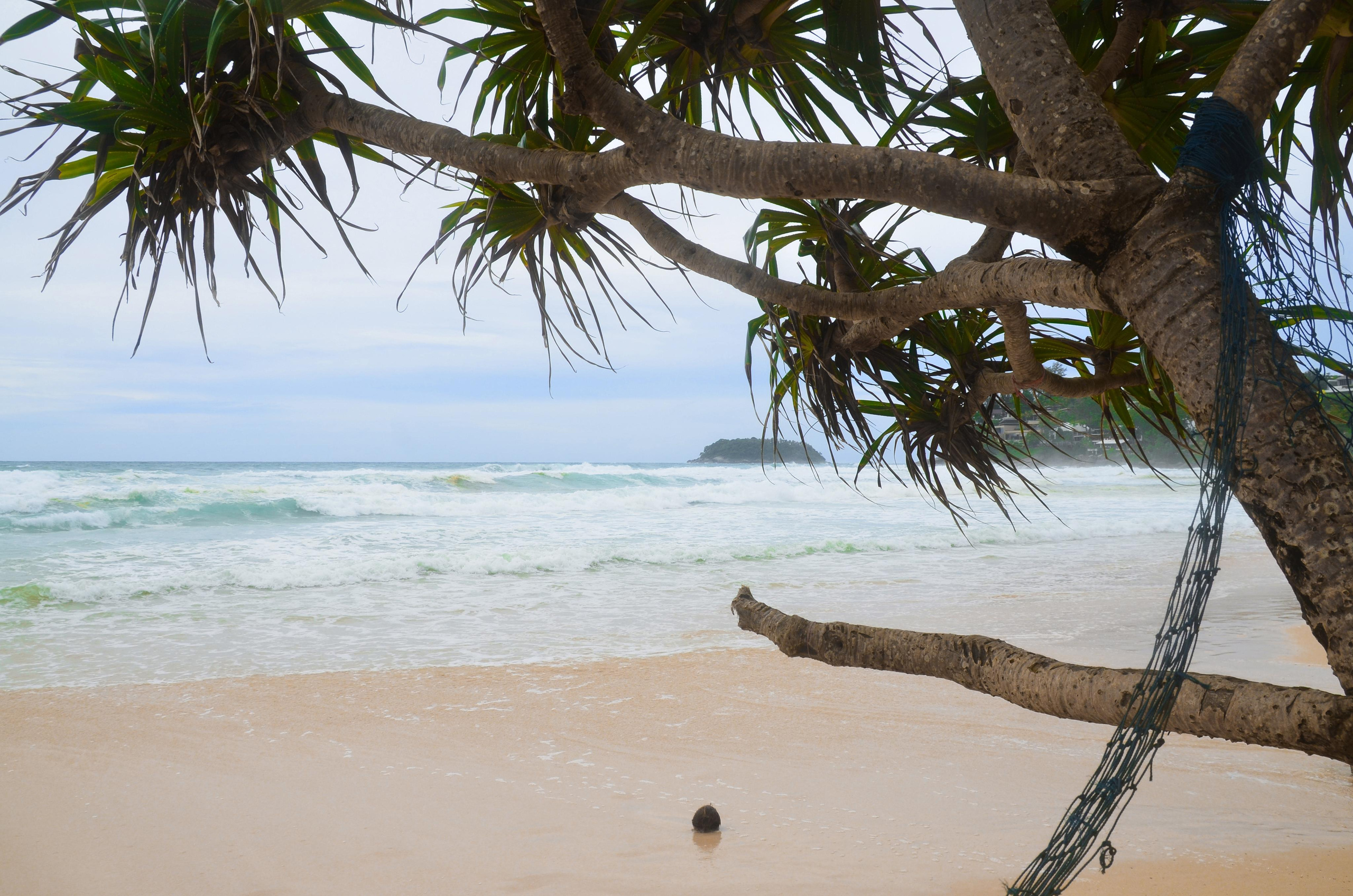 Морские зарисовки. Ульяна Палама: Мир через призму фотокамеры