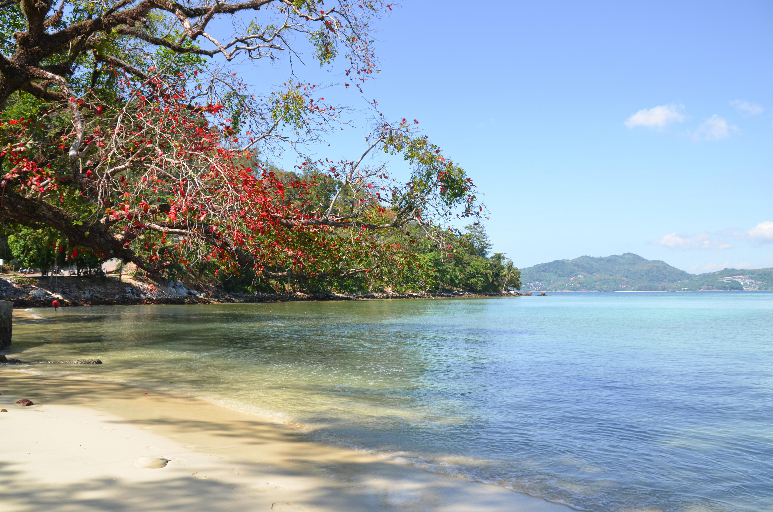 Морские зарисовки. Ульяна Палама: Мир через призму фотокамеры