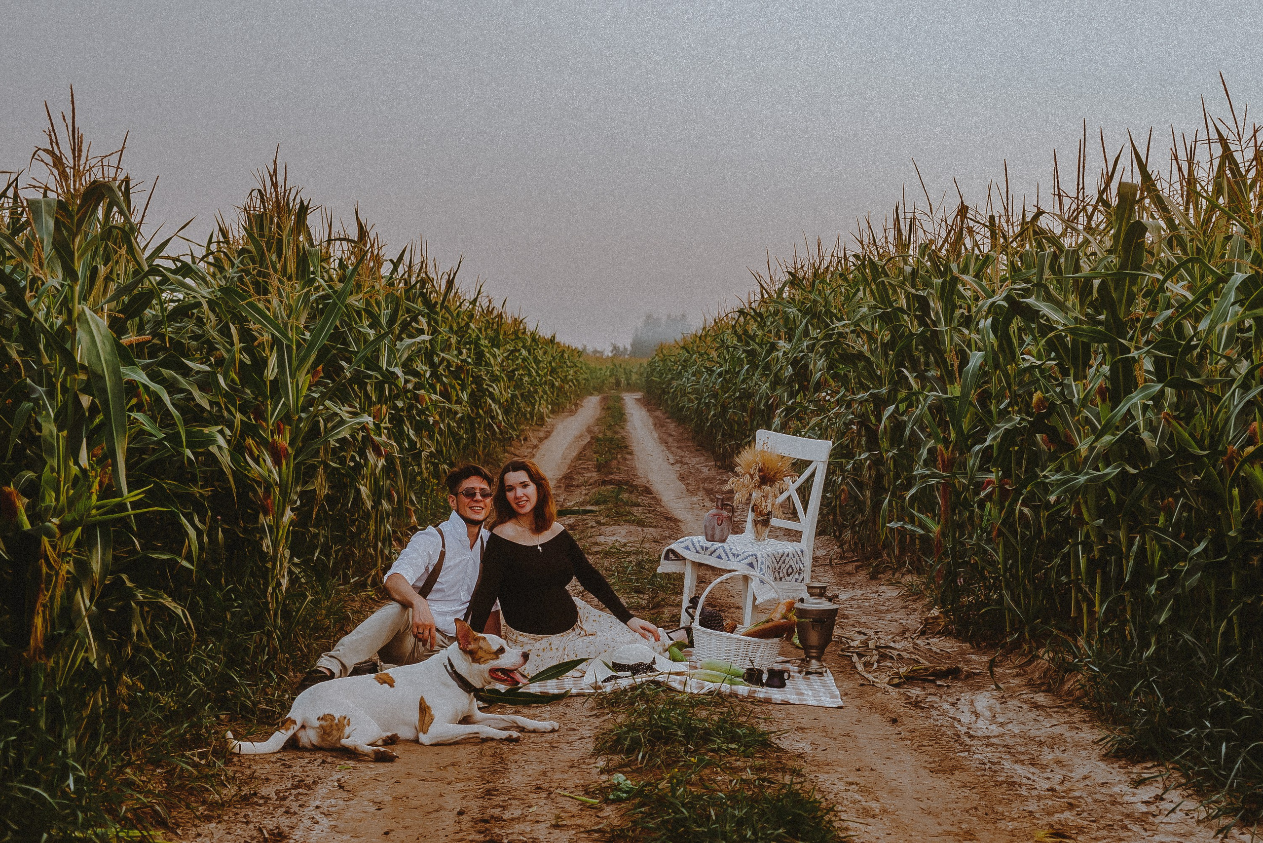 Кукуруза. Свадебный и семейный фотограф в Москве Сажина Кристина КиМ. Свадебный оператор в Москве Сажин Максим