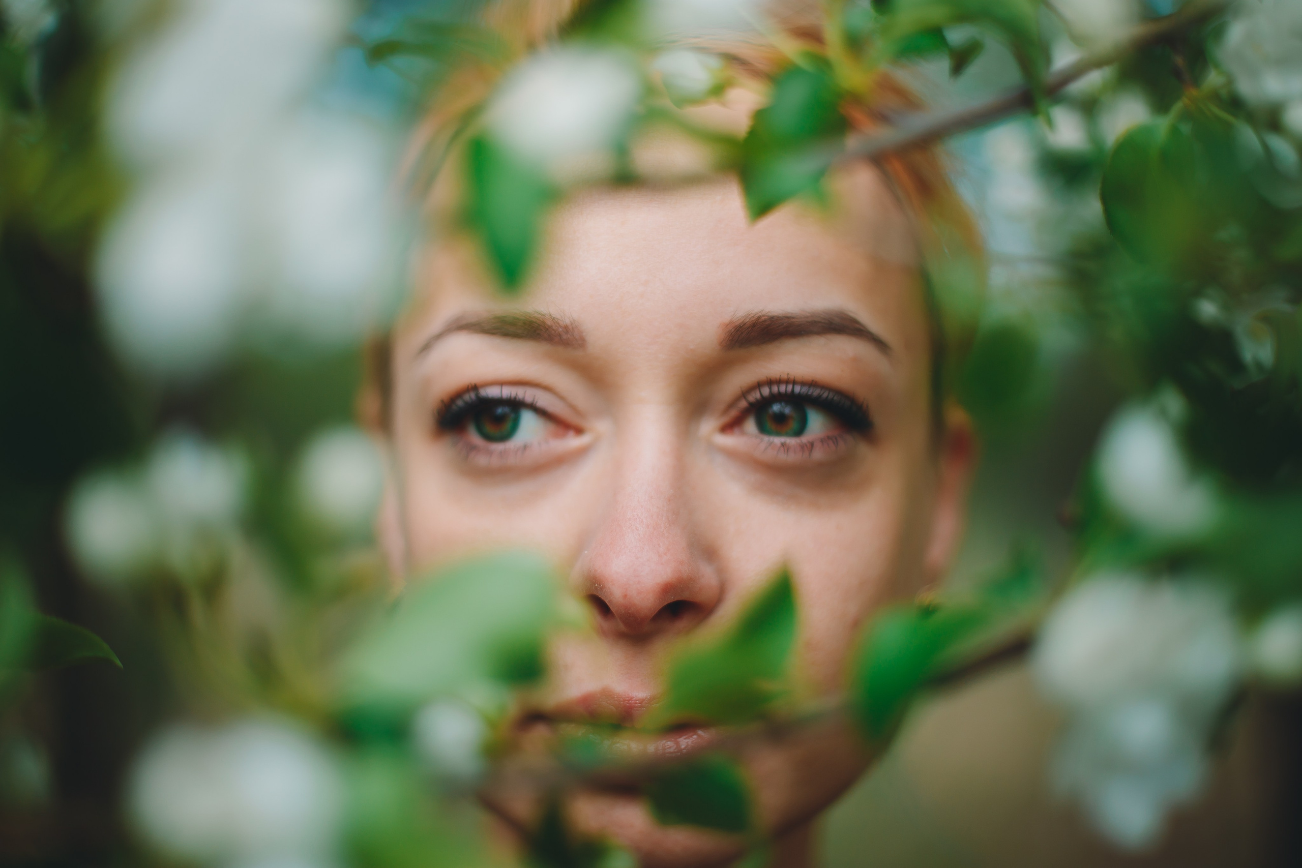 Яблони. Фотограф в Абакане Николай Окунев