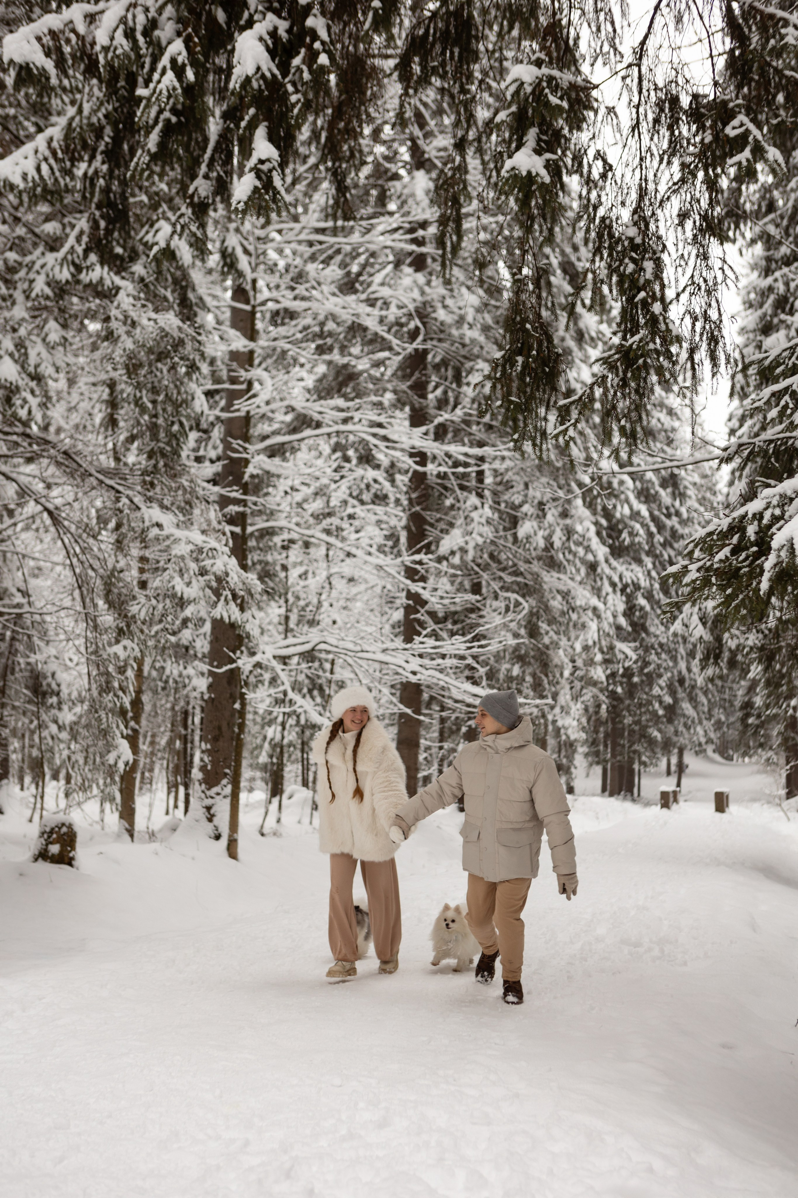 Новогодняя фотосессия с собачками в шуваловском парке. Свадебный фотограф в СПБ | Санкт-Петербурге Анастасия Рахимгулова
