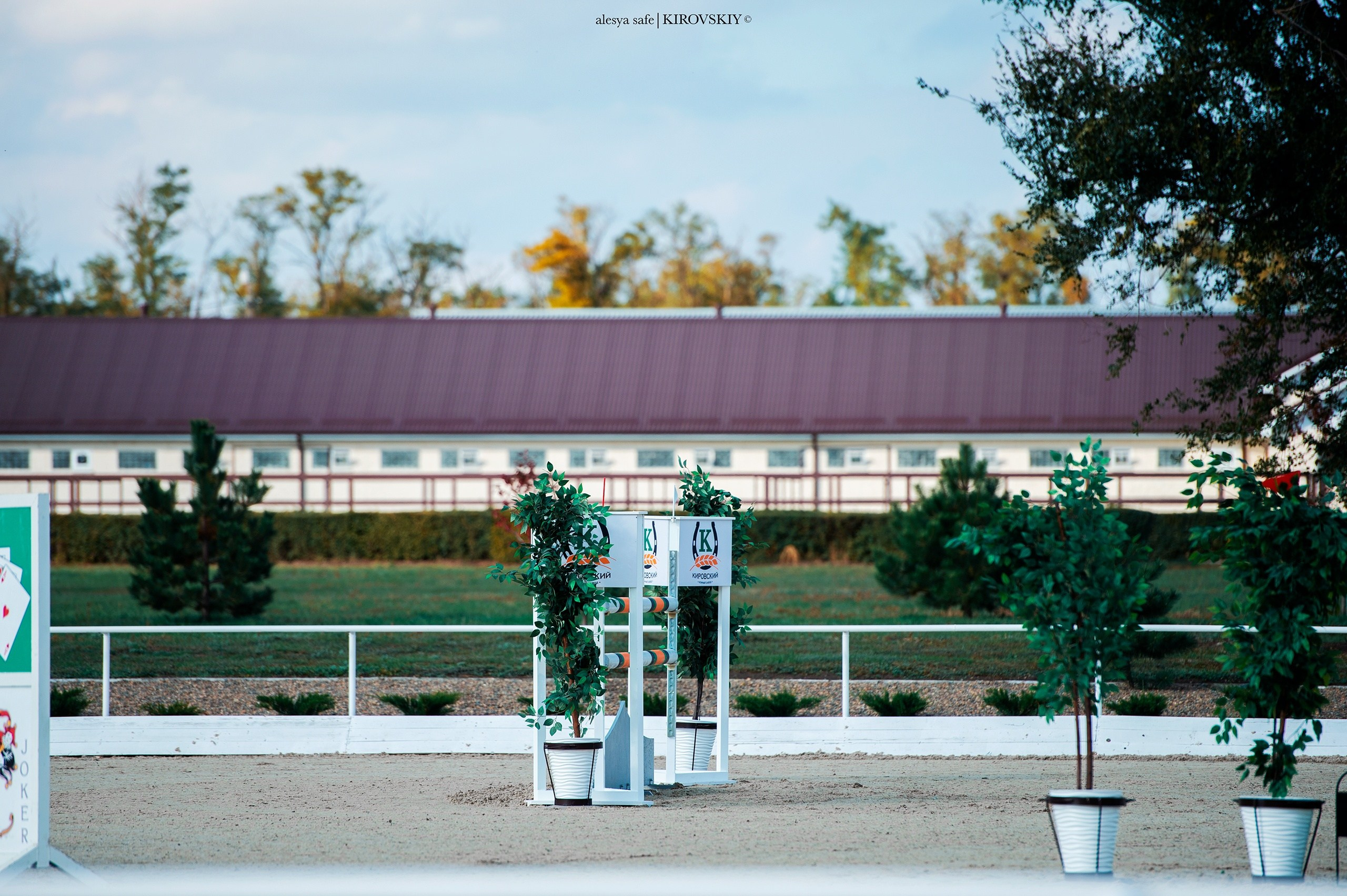 Кировский конный завод. Конный фотограф Alesya Safe