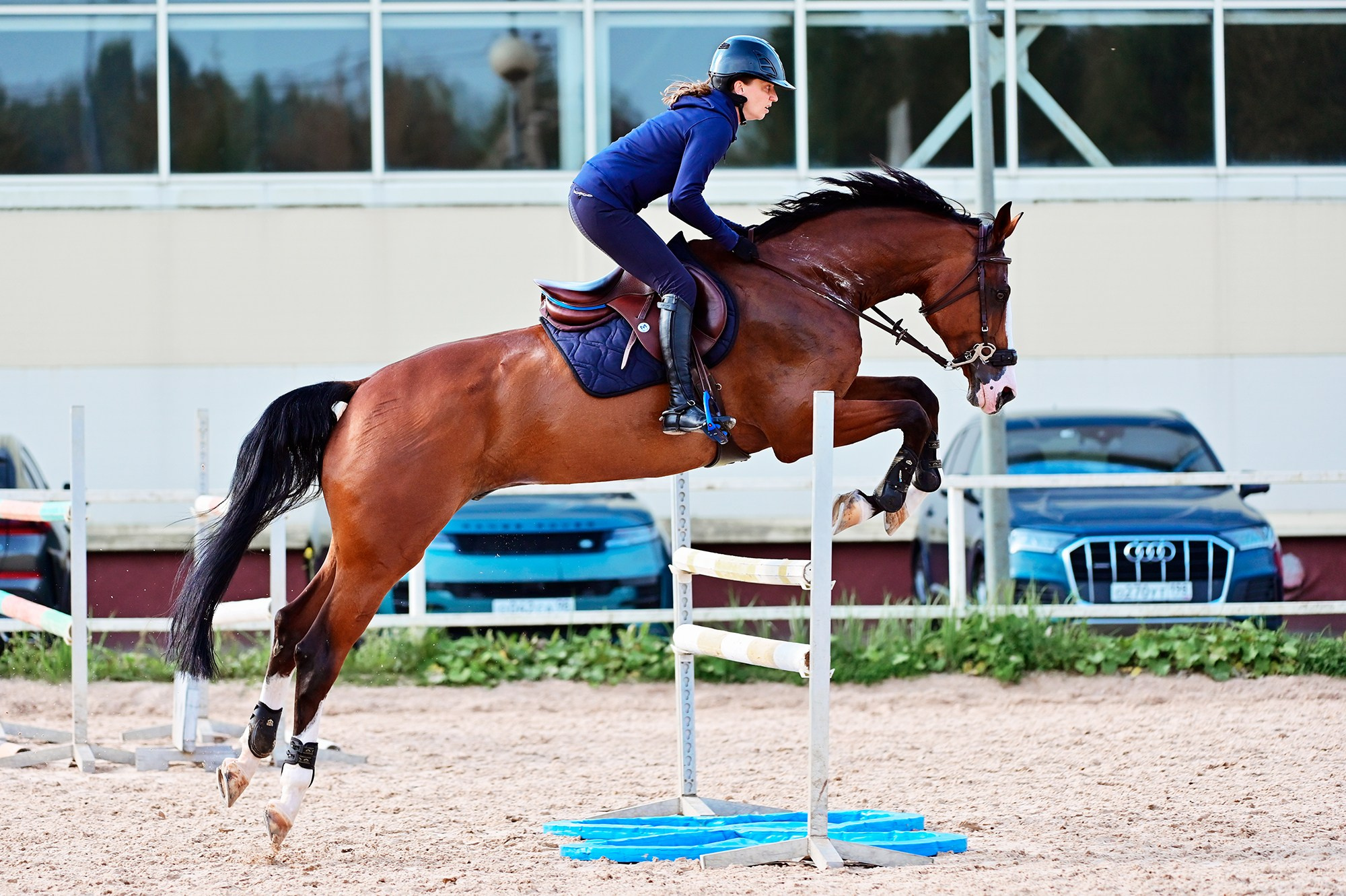 Тренировки. Конный фотограф Alesya Safe