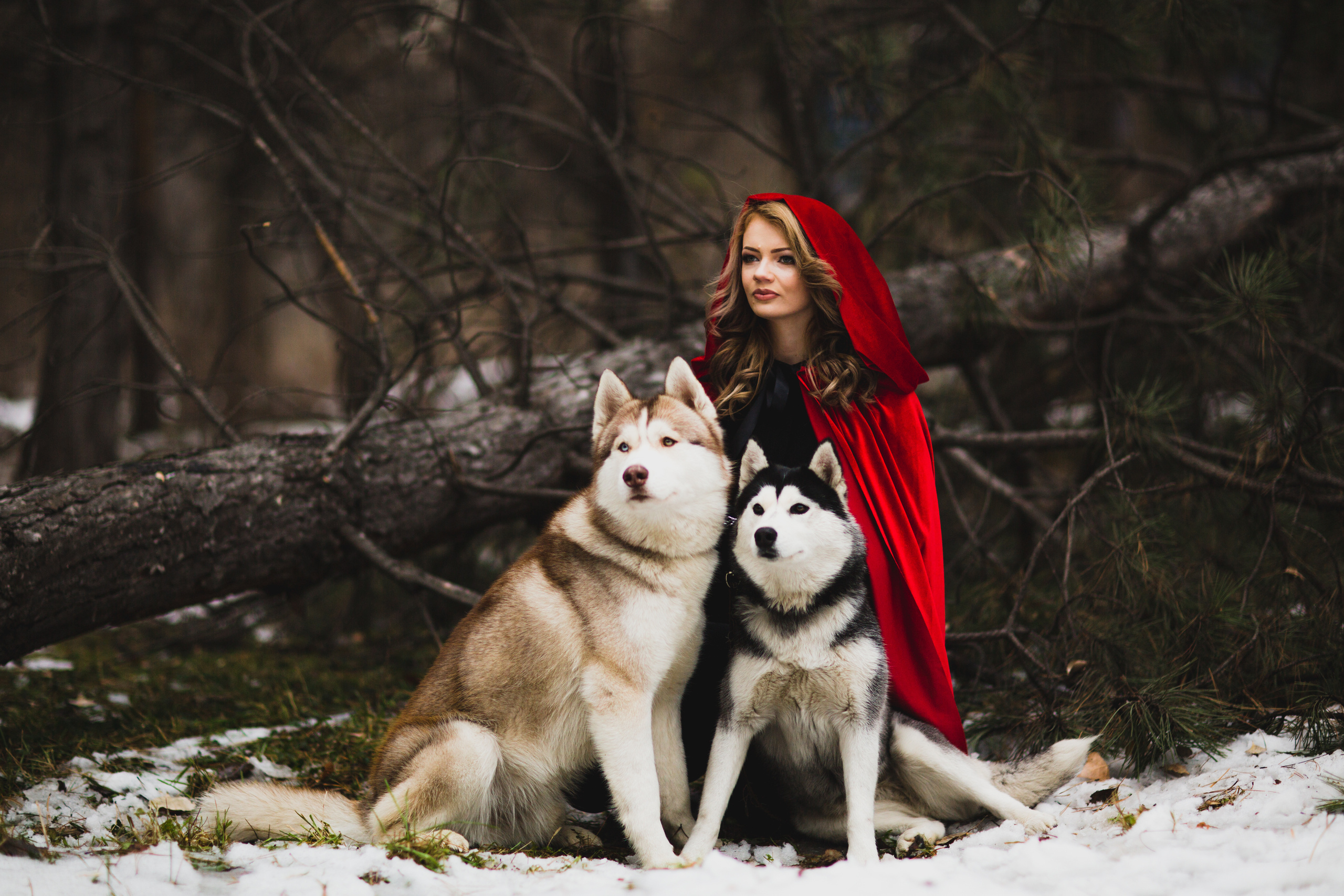 Лес. Свадебный и семейный фотограф/видеограф в Краснодаре Наталья Осинская