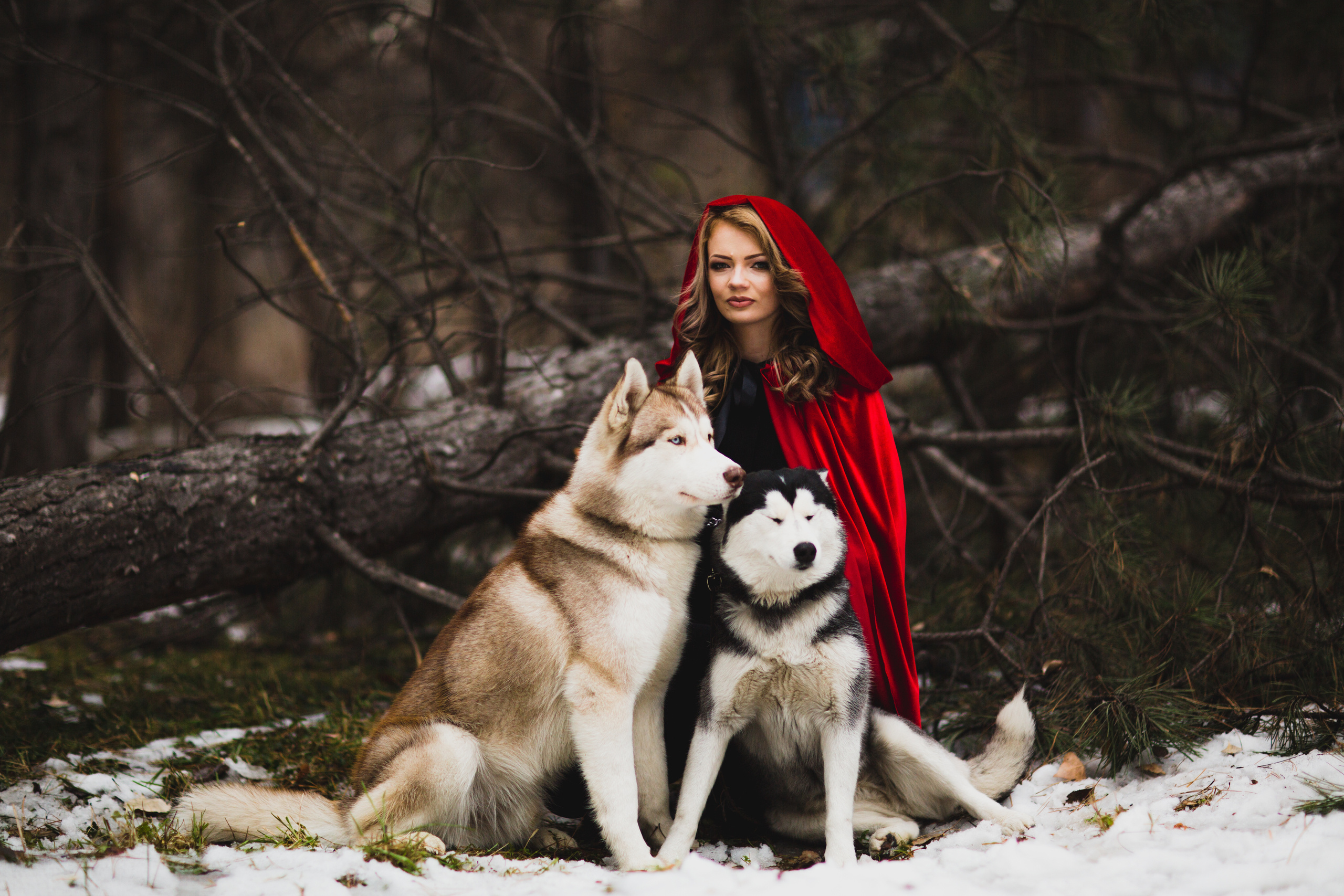 Лес. Свадебный и семейный фотограф/видеограф в Краснодаре Наталья Осинская