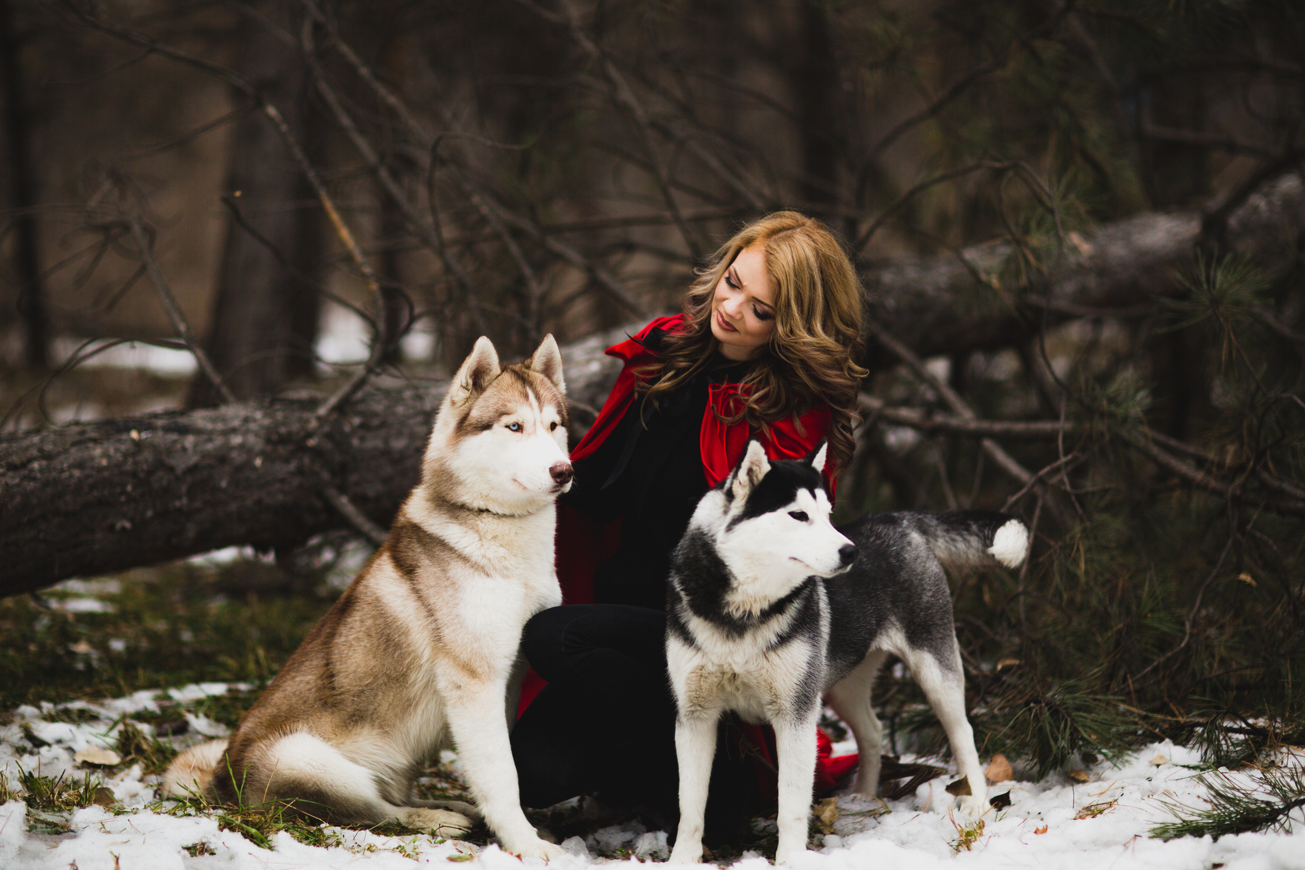 Лес. Свадебный и семейный фотограф/видеограф в Краснодаре Наталья Осинская
