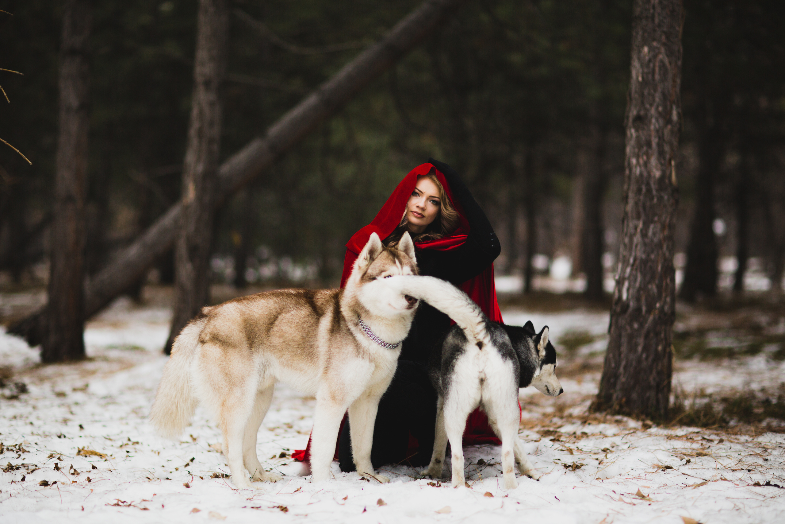 Лес. Свадебный и семейный фотограф/видеограф в Краснодаре Наталья Осинская