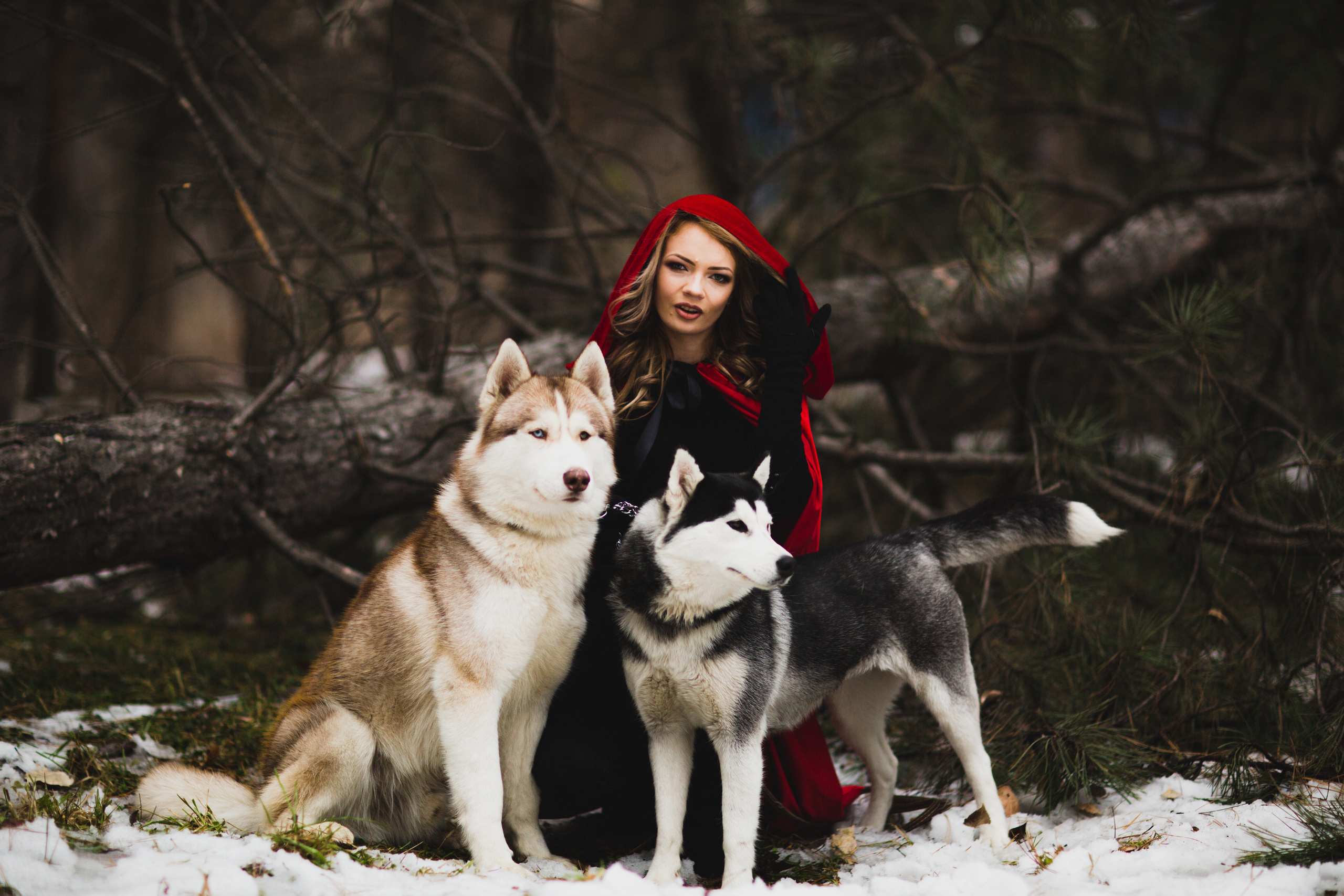 Лес. Свадебный и семейный фотограф/видеограф в Краснодаре Наталья Осинская
