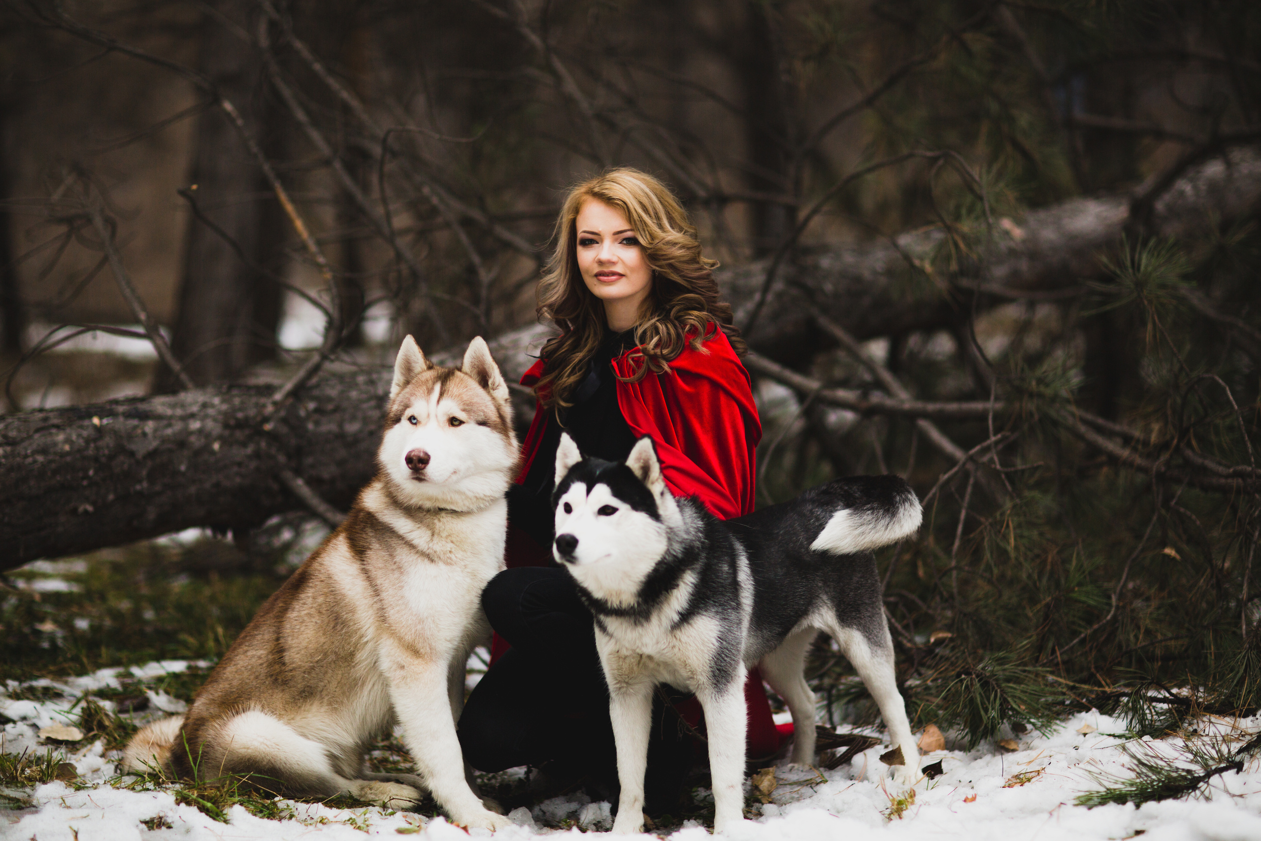 Лес. Свадебный и семейный фотограф/видеограф в Краснодаре Наталья Осинская