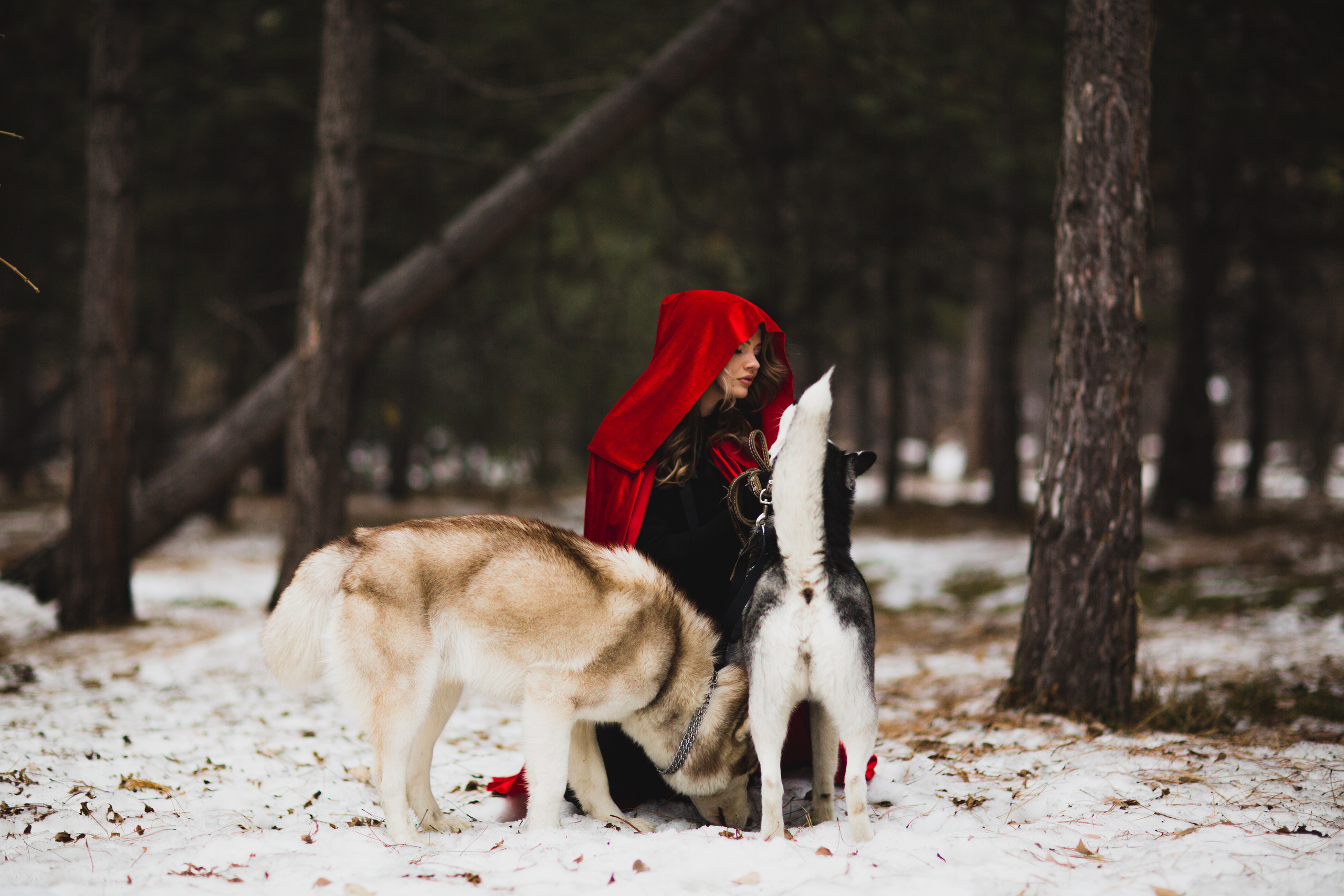 Лес. Свадебный и семейный фотограф/видеограф в Краснодаре Наталья Осинская