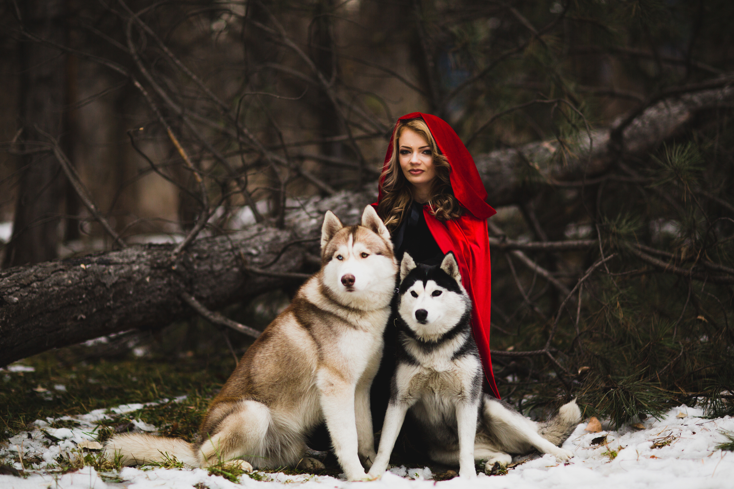 Лес. Свадебный и семейный фотограф/видеограф в Краснодаре Наталья Осинская