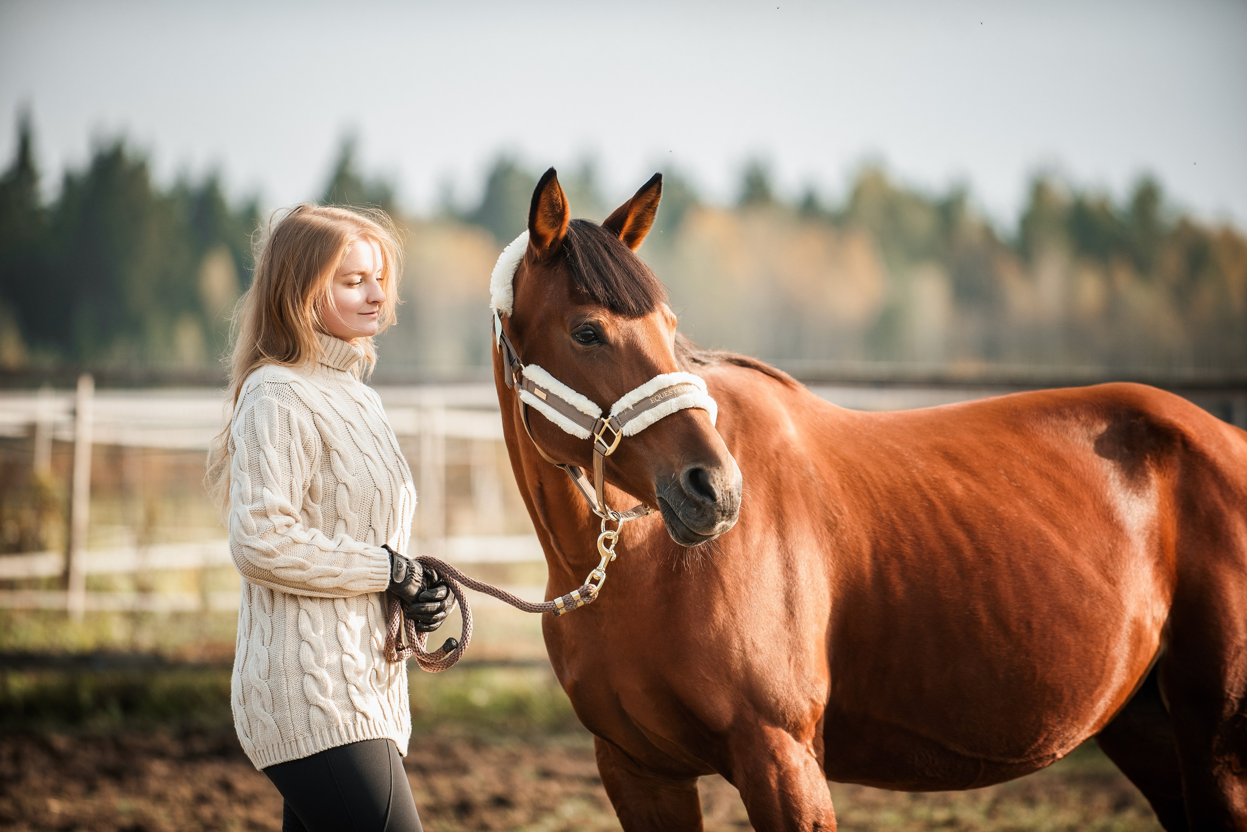 Настасьин табун. Куракина Дарья • Конный фотограф