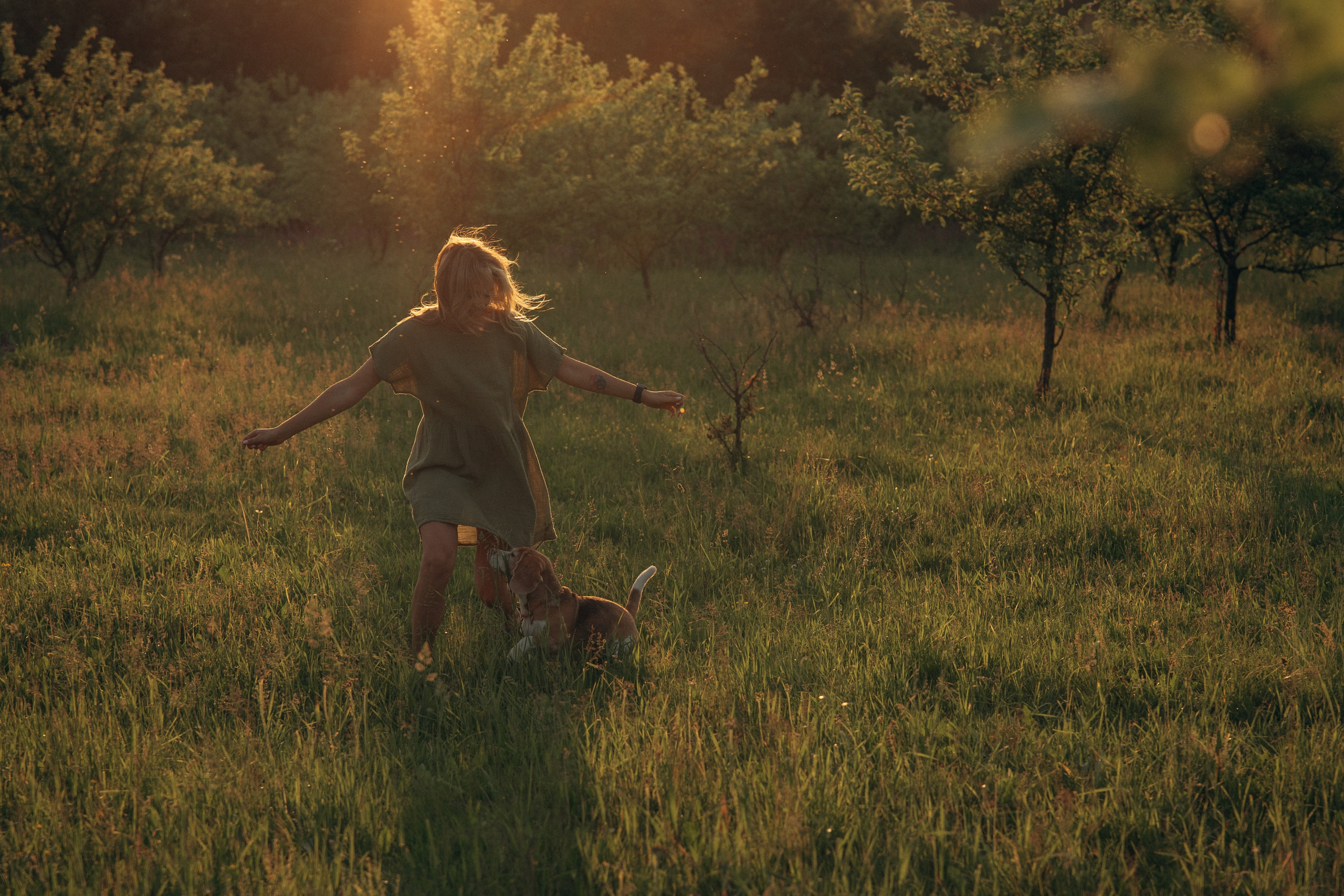Кристина и Нора. На закате дня. Фотограф анималист в Казани Алина Сулейманова. Фотограф животных