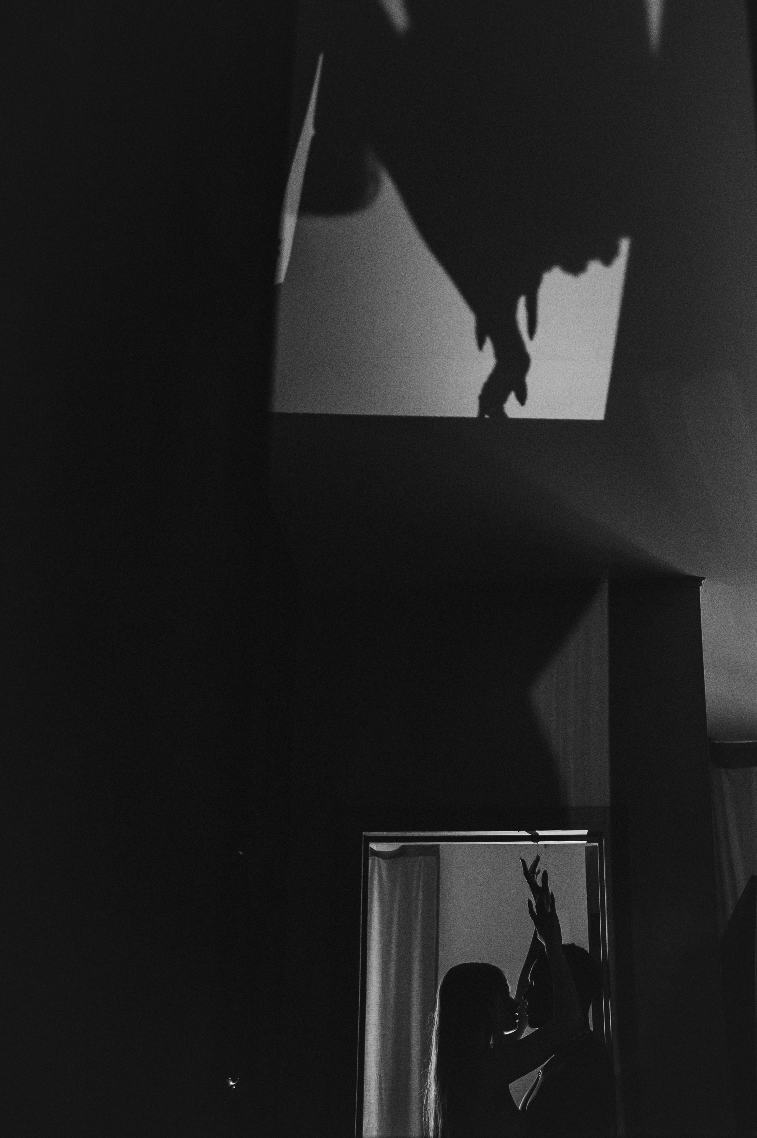 Алиса и Адам