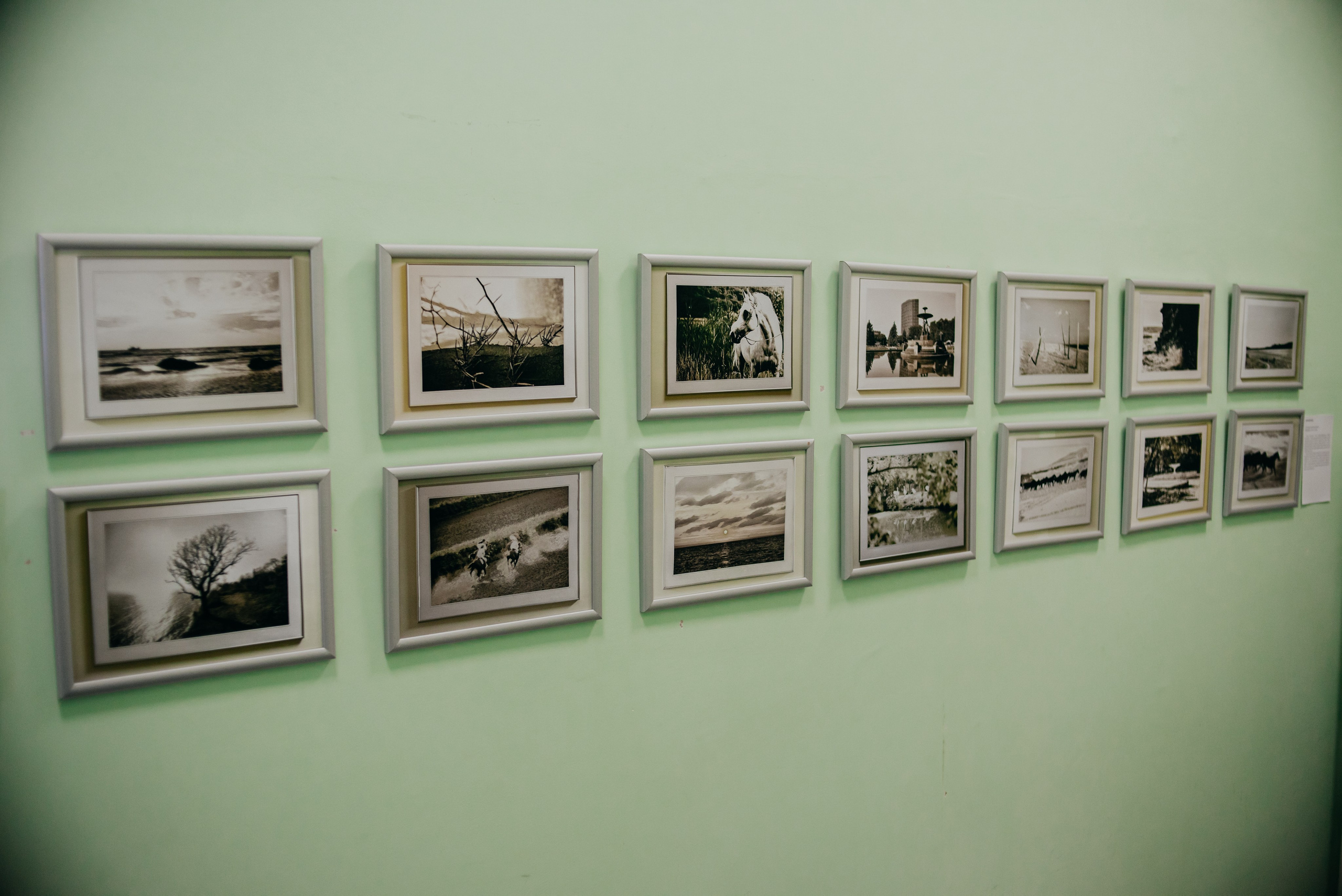 От работы кони дохнут. Лера Круглова