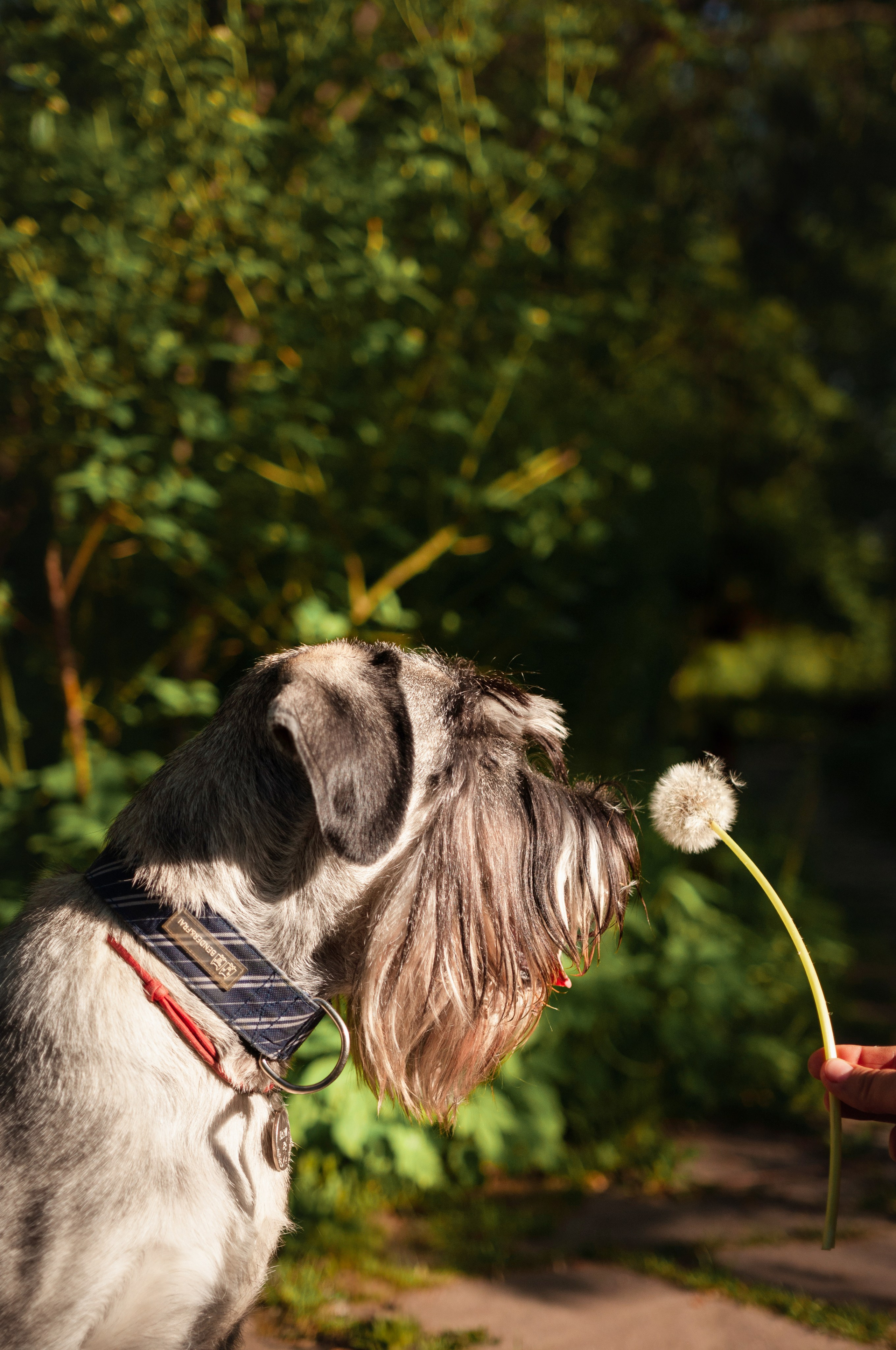 Катя и Дарио