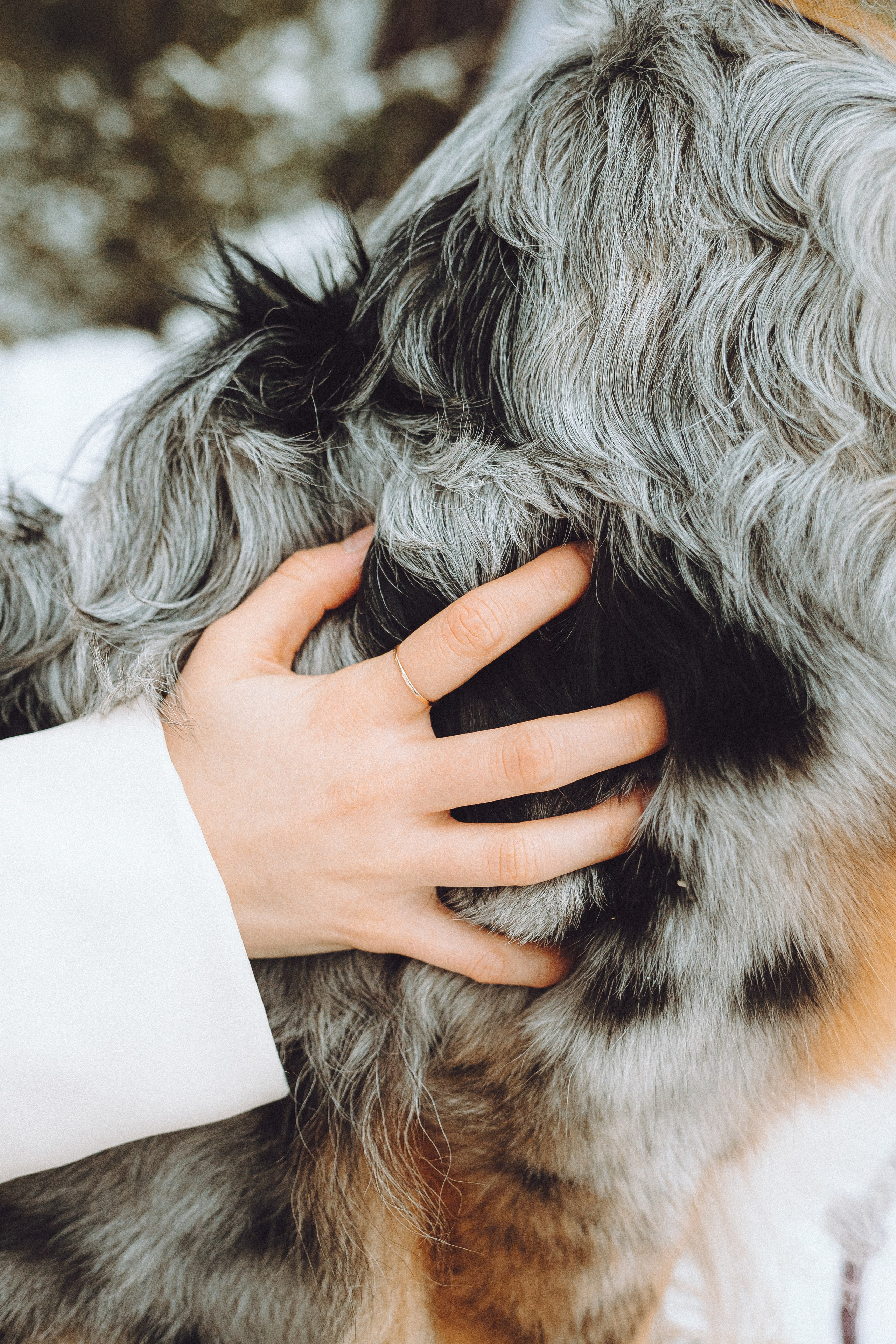 Фаня и ее семья