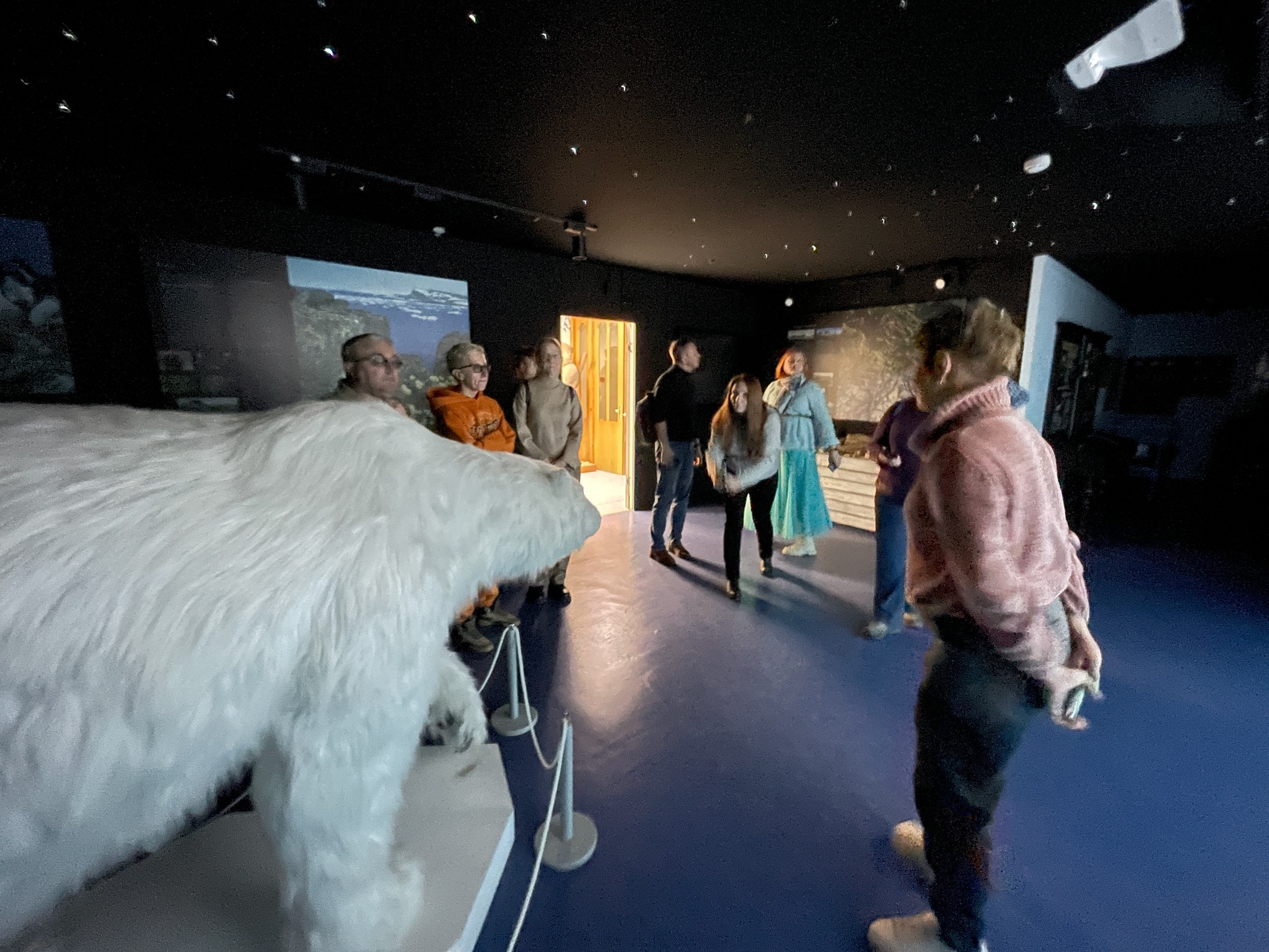 Архангельск | 08.05 — 11.05.2025. Галерея Фантим