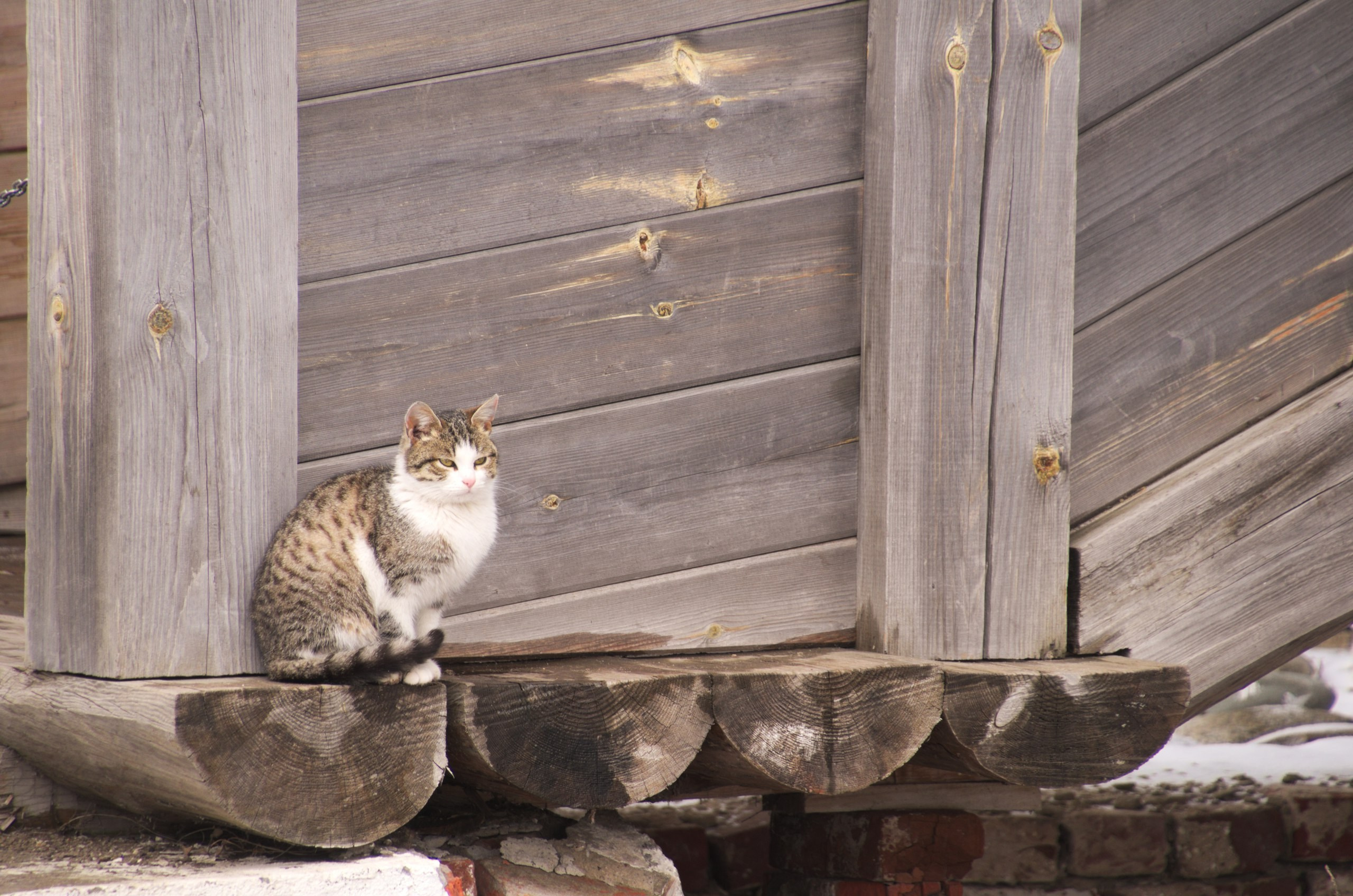 Казань | 24-26.03.2017. Галерея Фантим