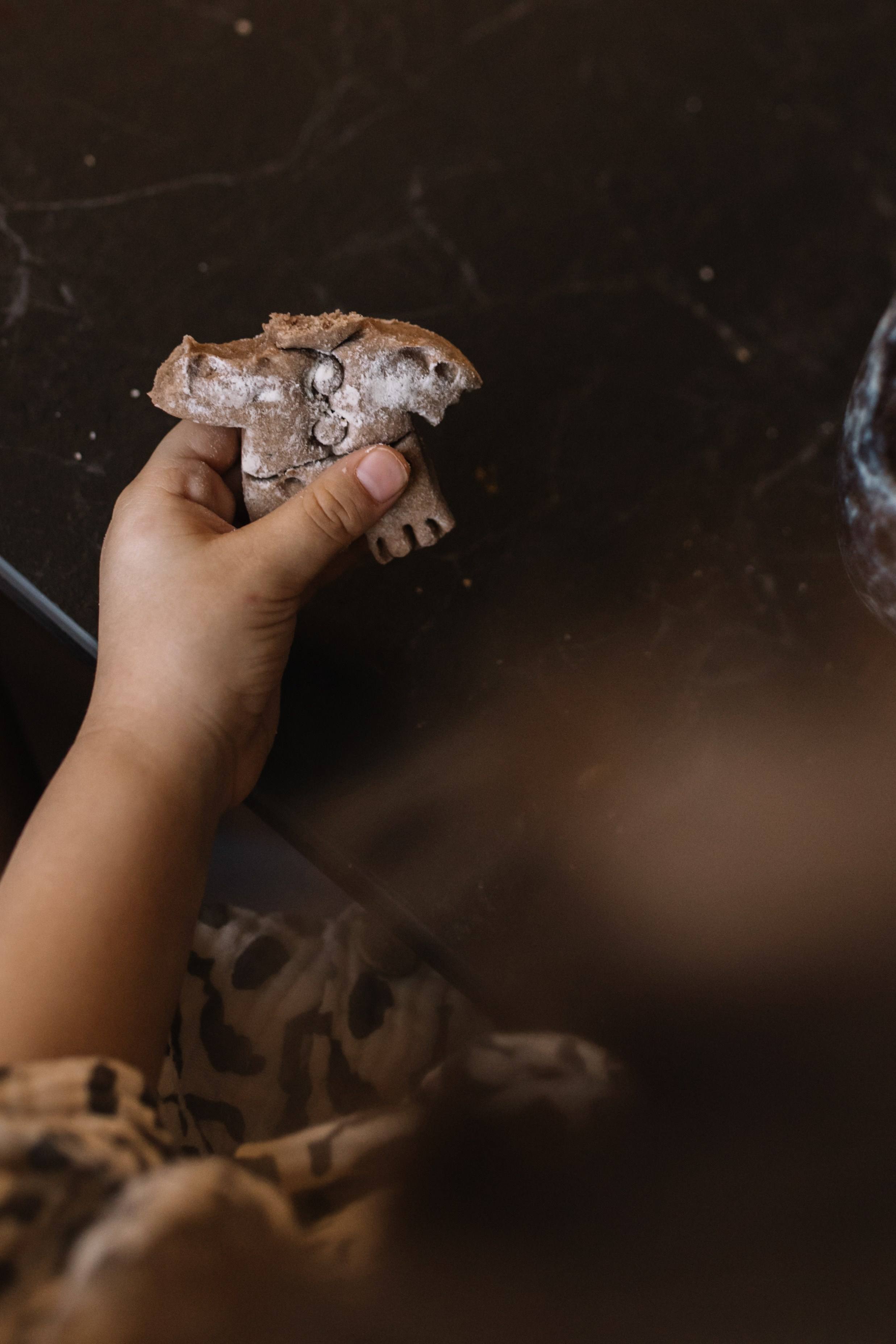 НОВЫЙ ГОД ДОМА. Ваш семейный фотограф в Москве и Московской области