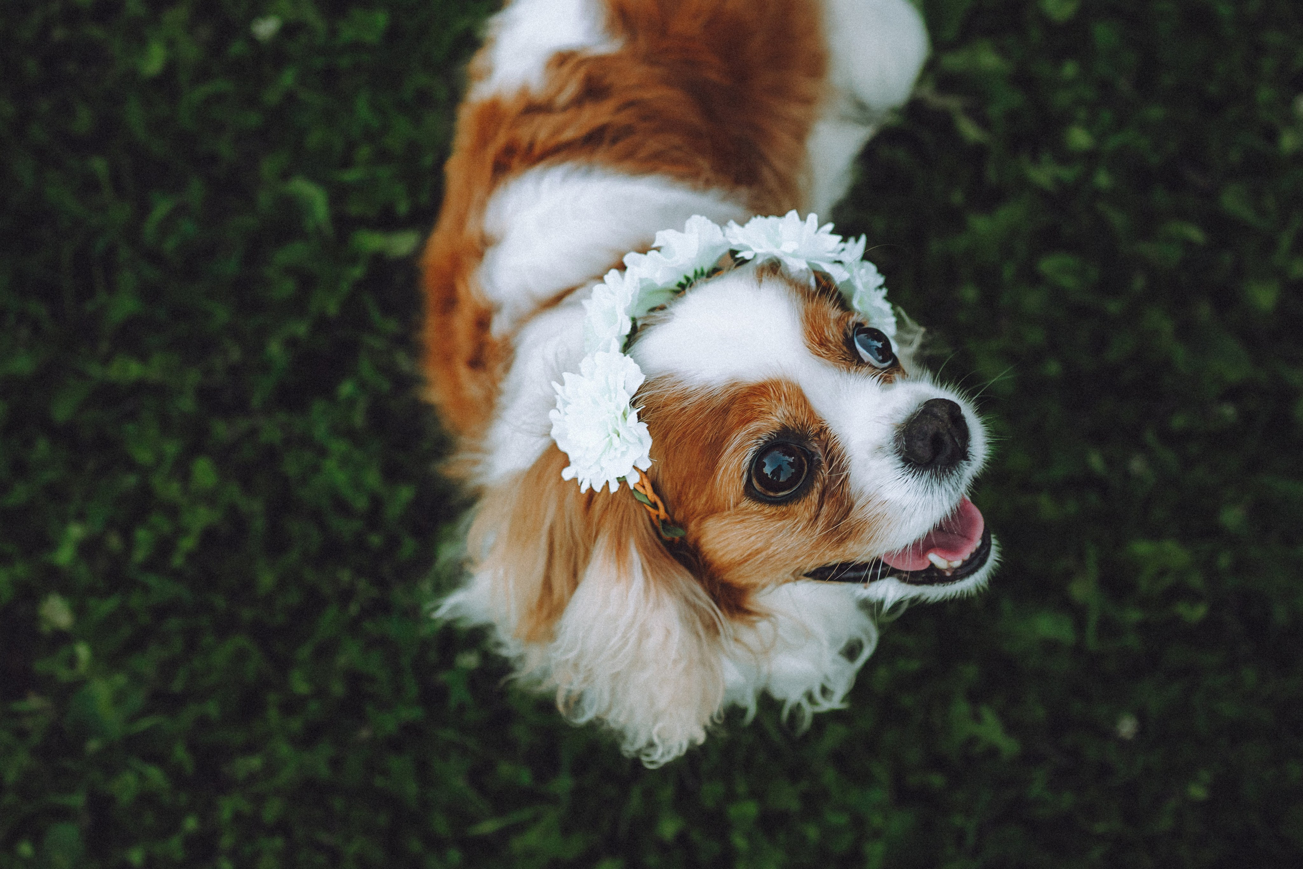 Наташа и Вики