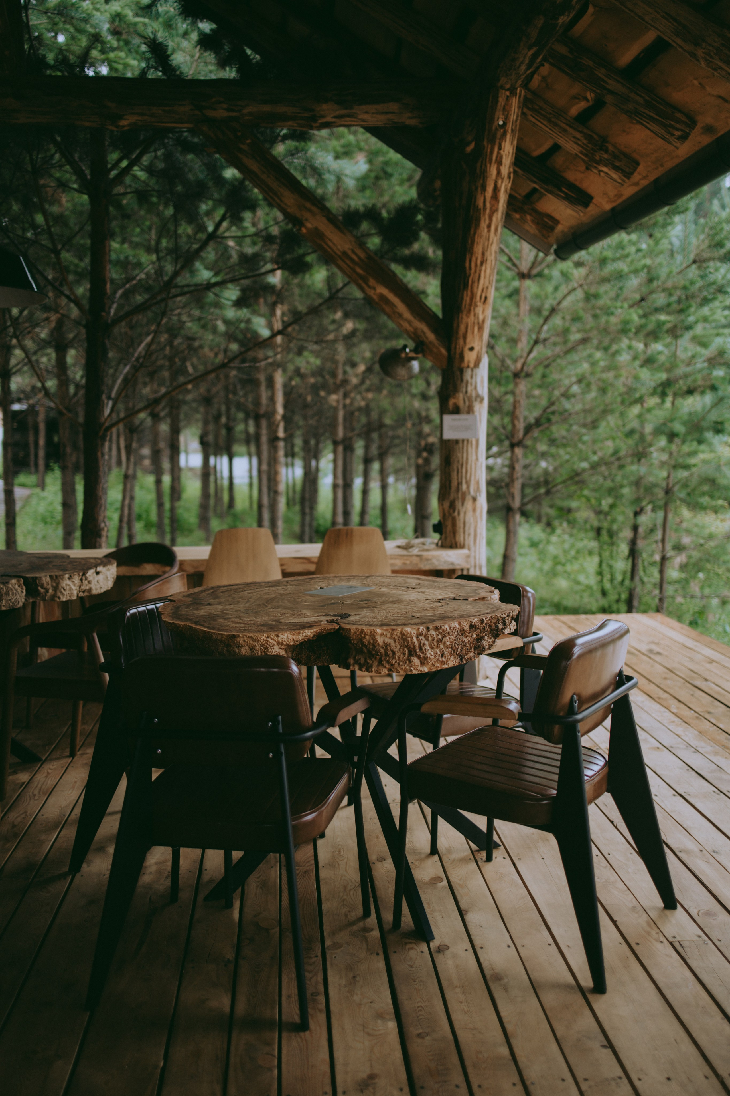 Коммерческие съемки. Фотограф в красноярске