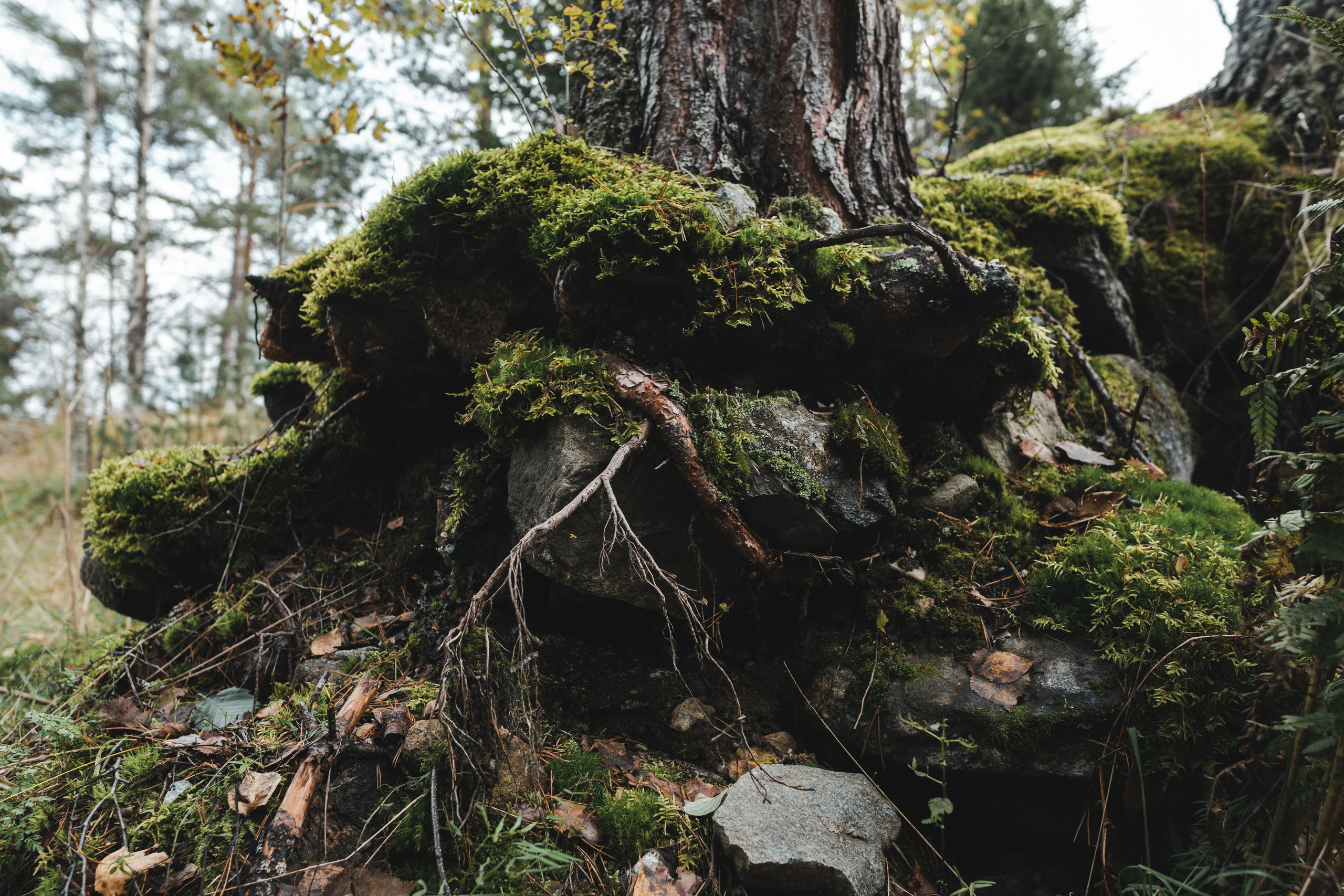 EXHIBITION. Репортажный и интерьерный фотограф, фотохудожник