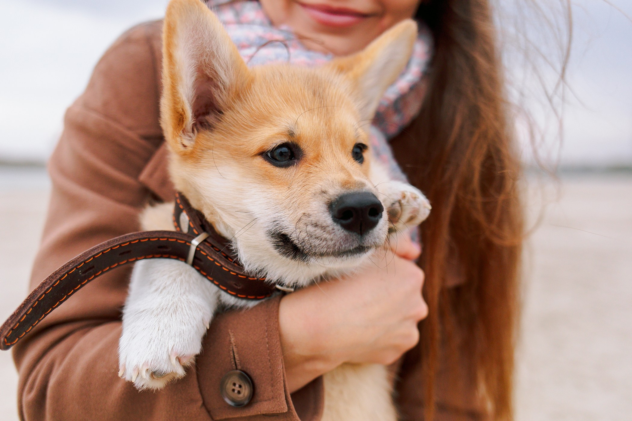 Стич. Семейный, репортажный, свадебный фотограф в Краснодаре Артур Александрин