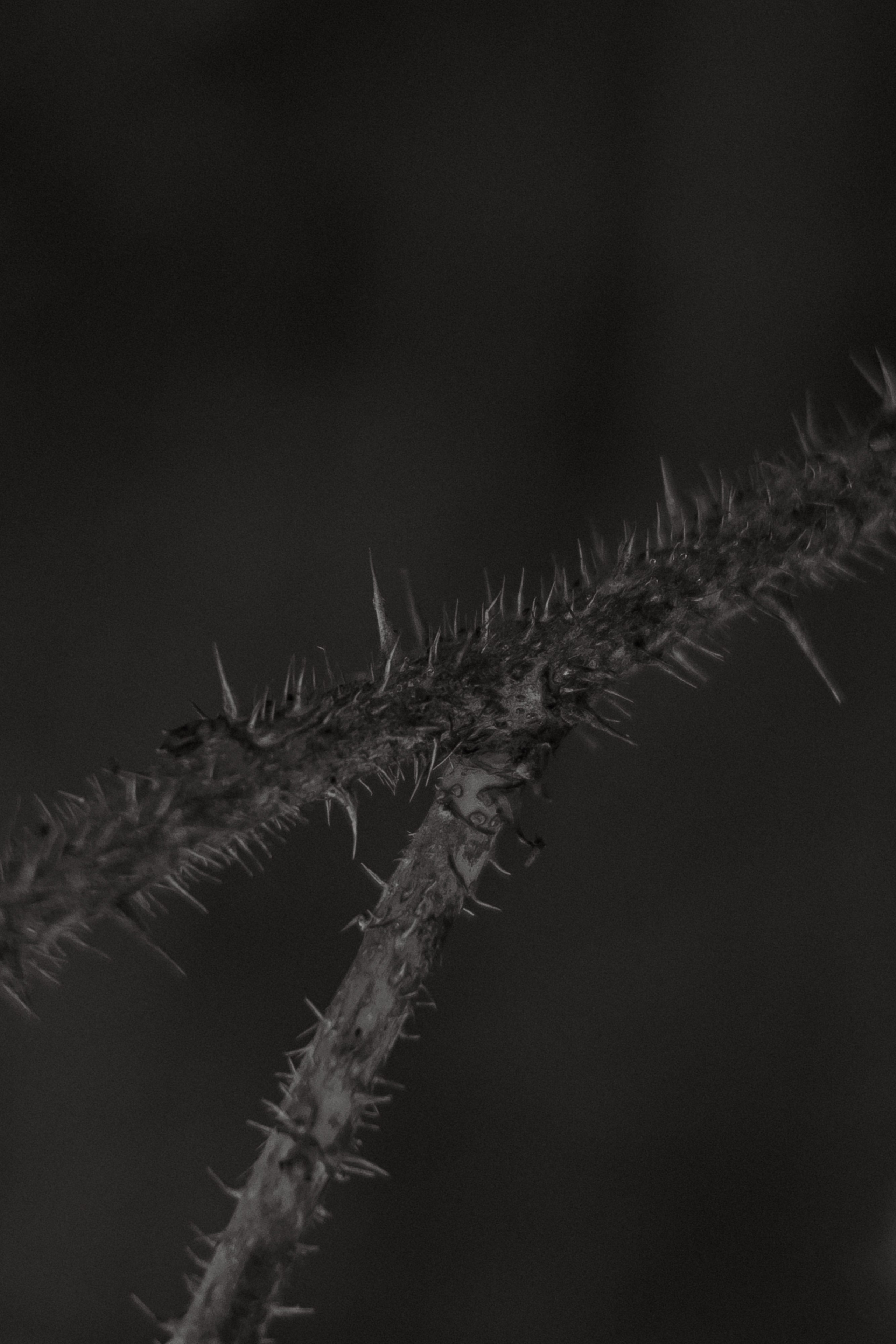 Infinity. Свадебный фотограф Колесников Антон