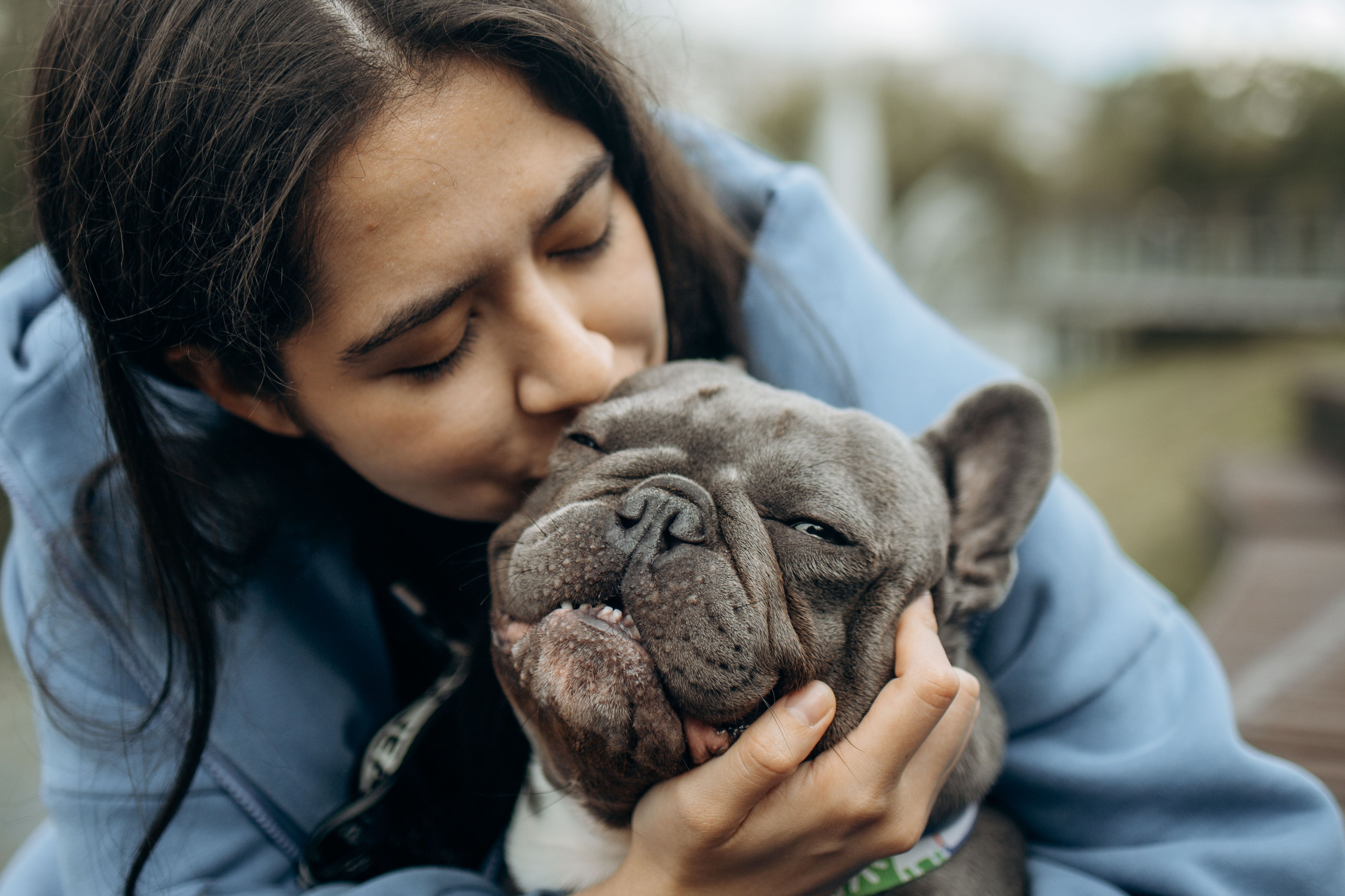 Грей и его семья