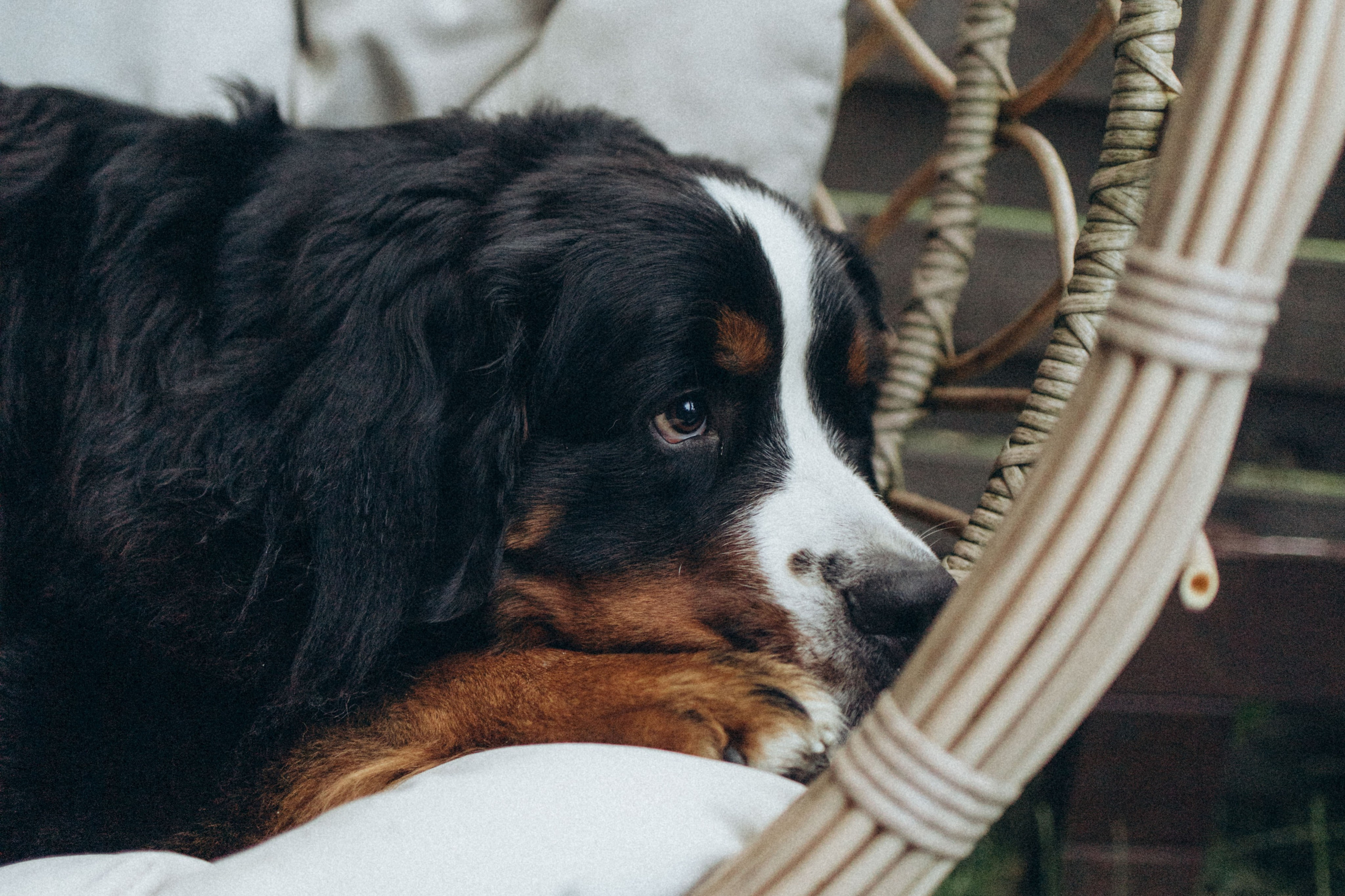 Таня и Тери