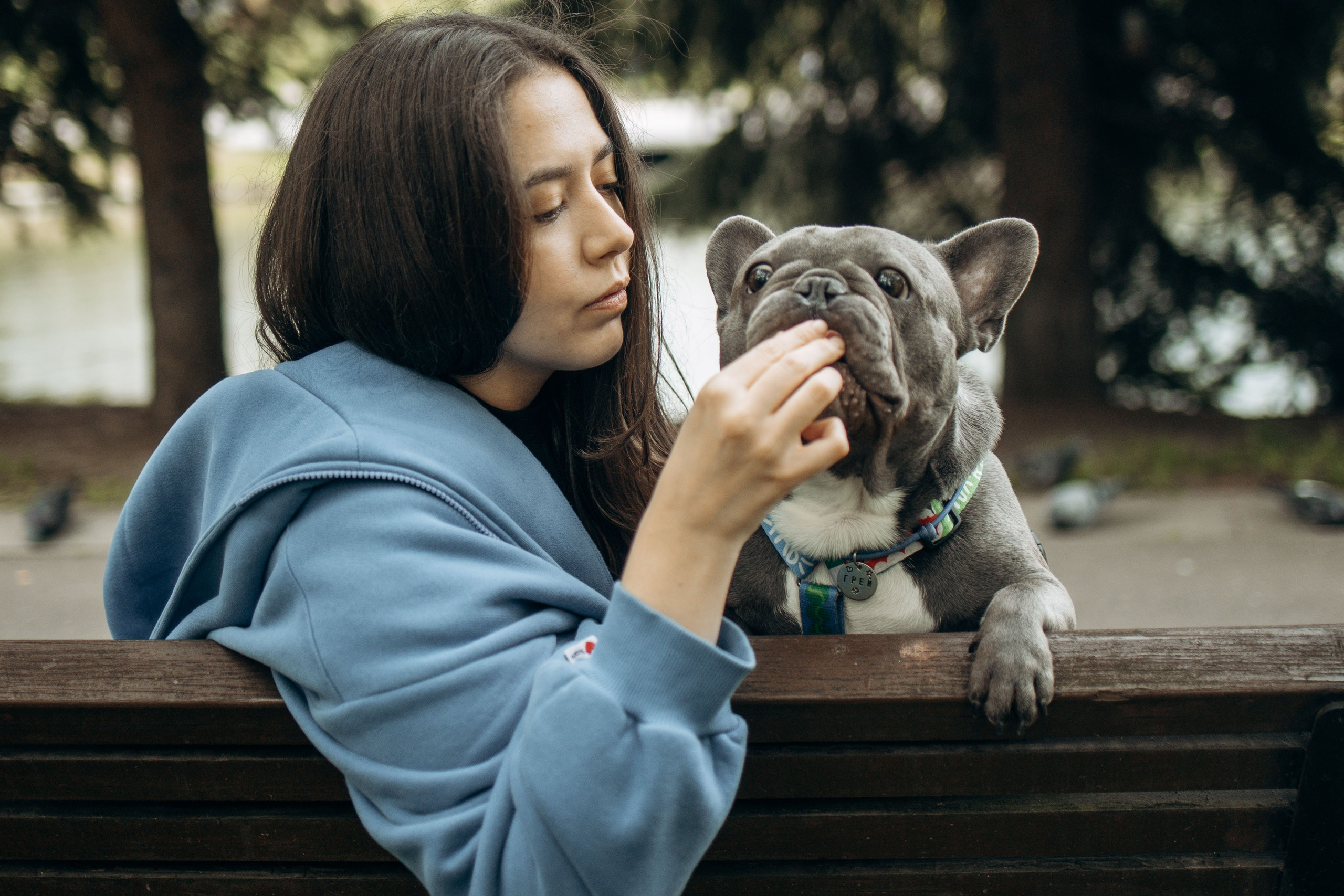 Грей и его семья