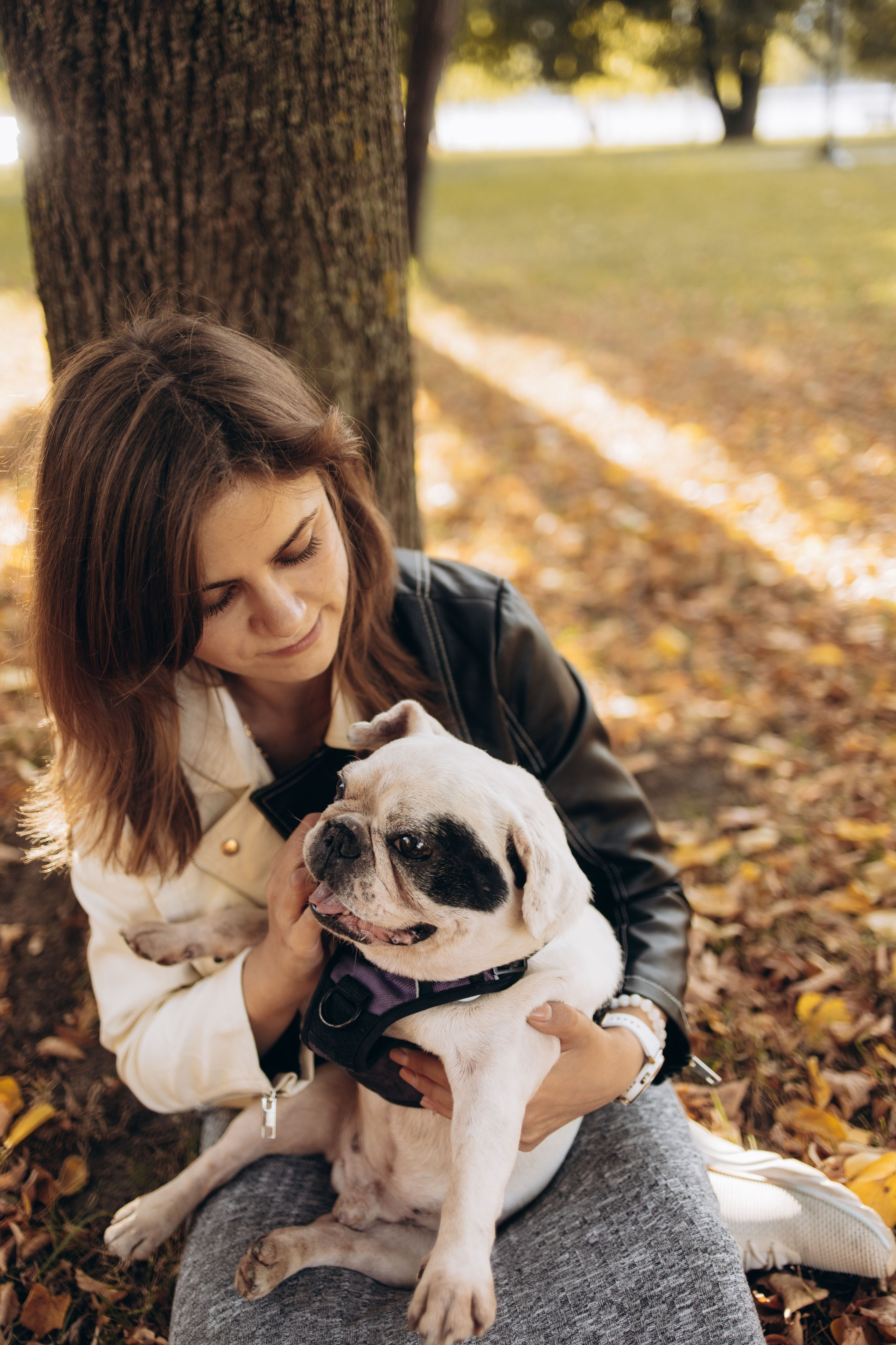 Оля и бульдоги