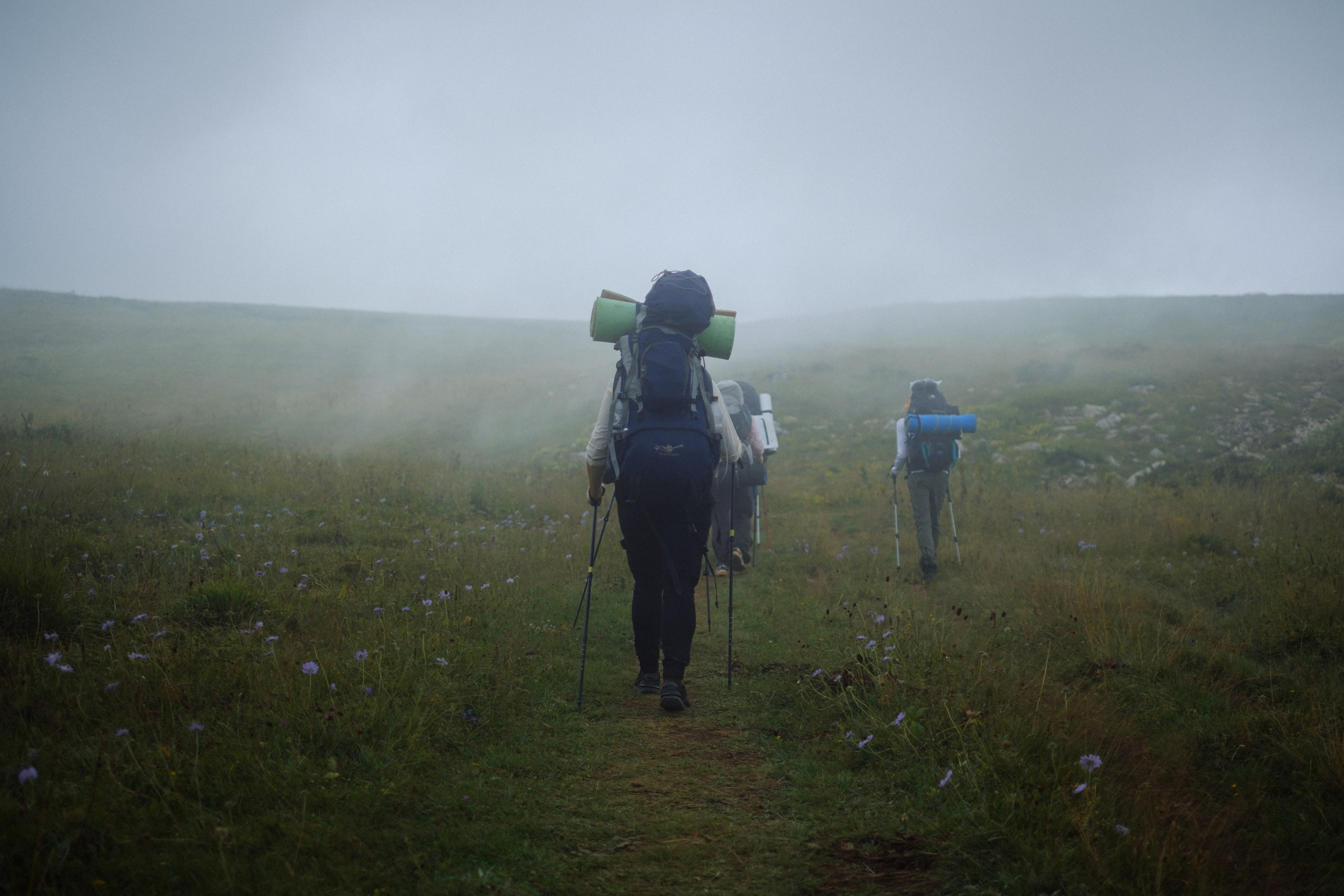 Тридцатка | август 2023