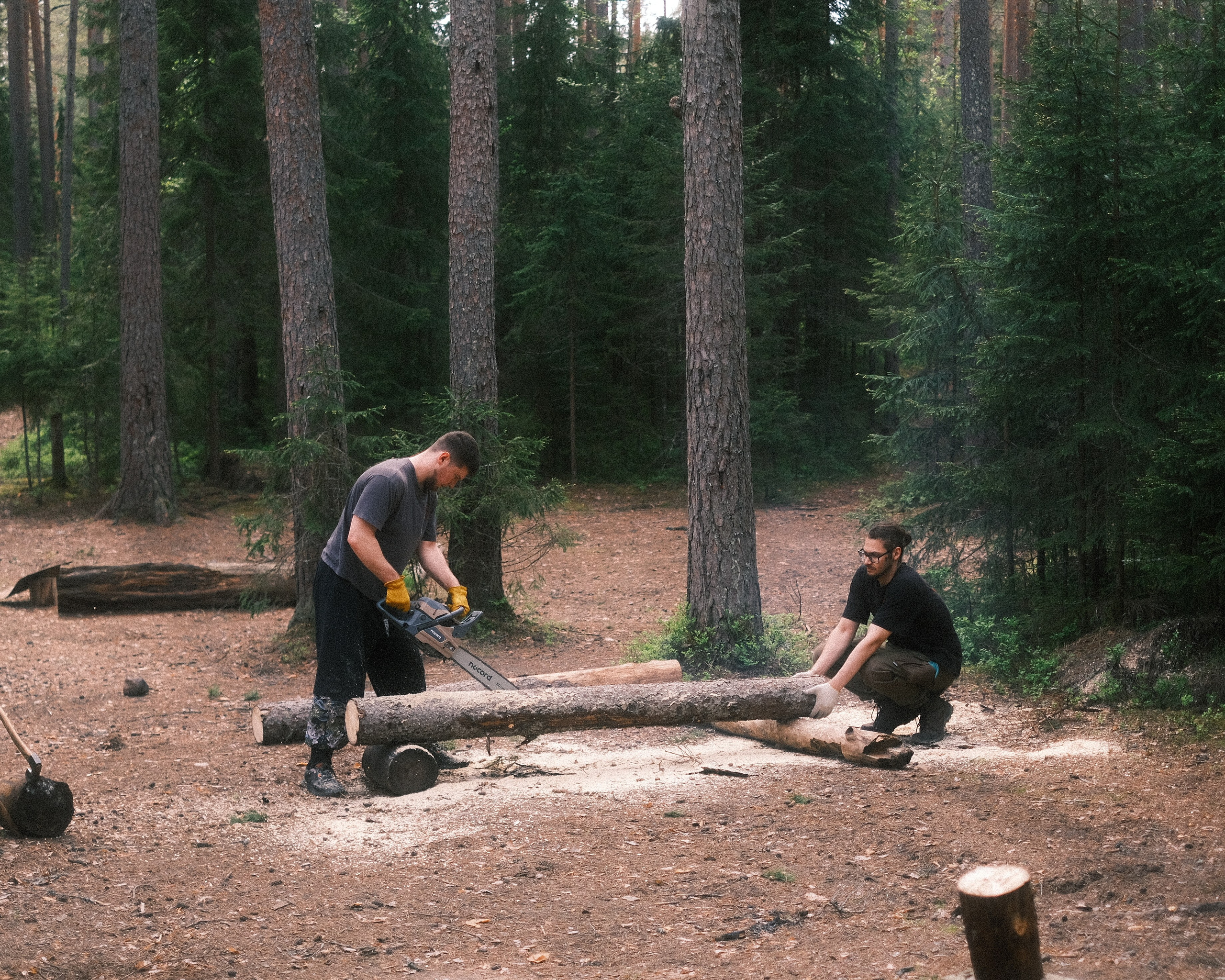 Орехово | май 2025